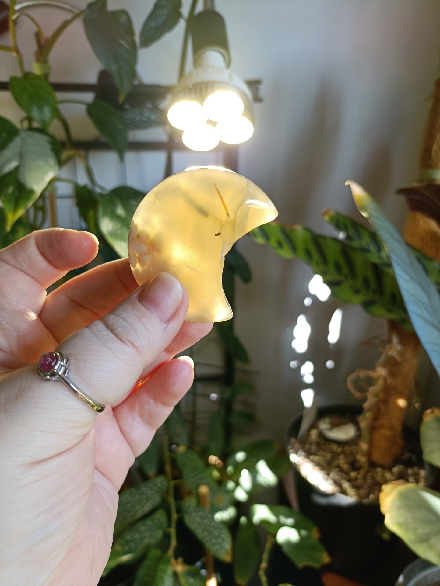 Pink Flower Agate Moon - 40-50g