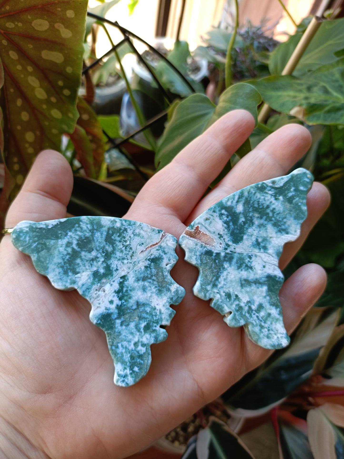 Ocean Jasper Butterfly Wings with Stand - 108g