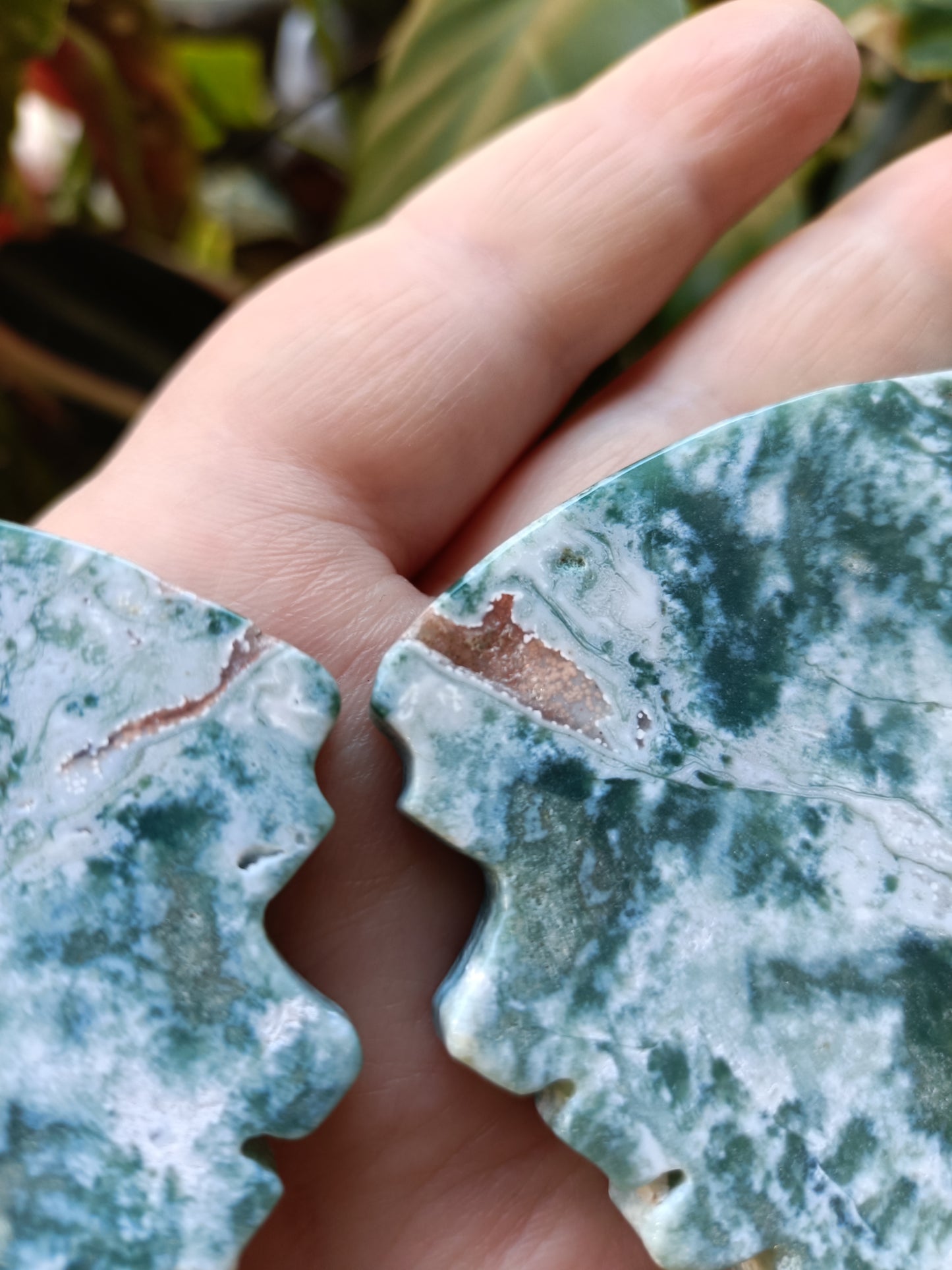 Ocean Jasper Butterfly Wings with Stand - 108g