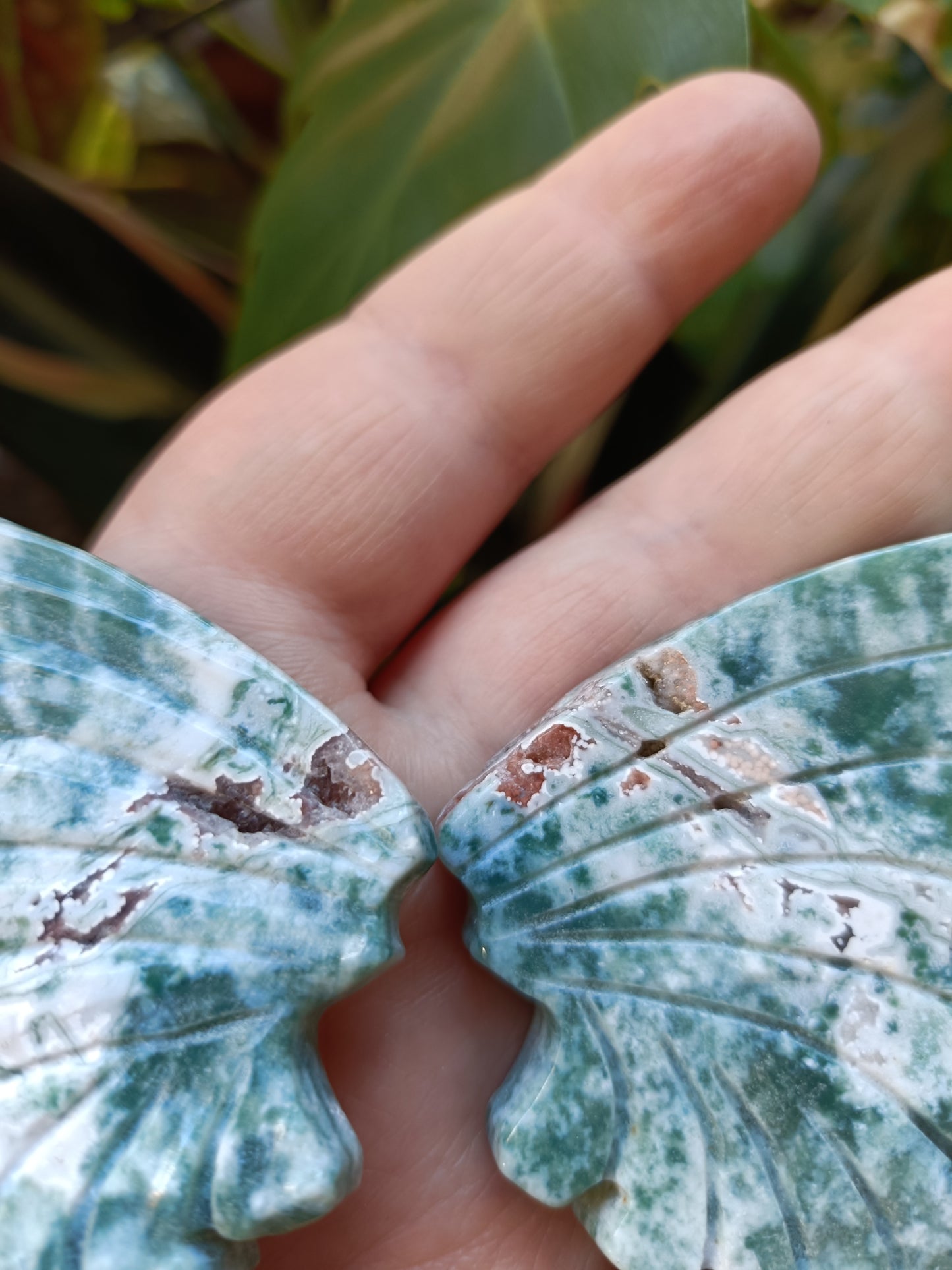 Ocean Jasper Butterfly Wings with Stand - 108g