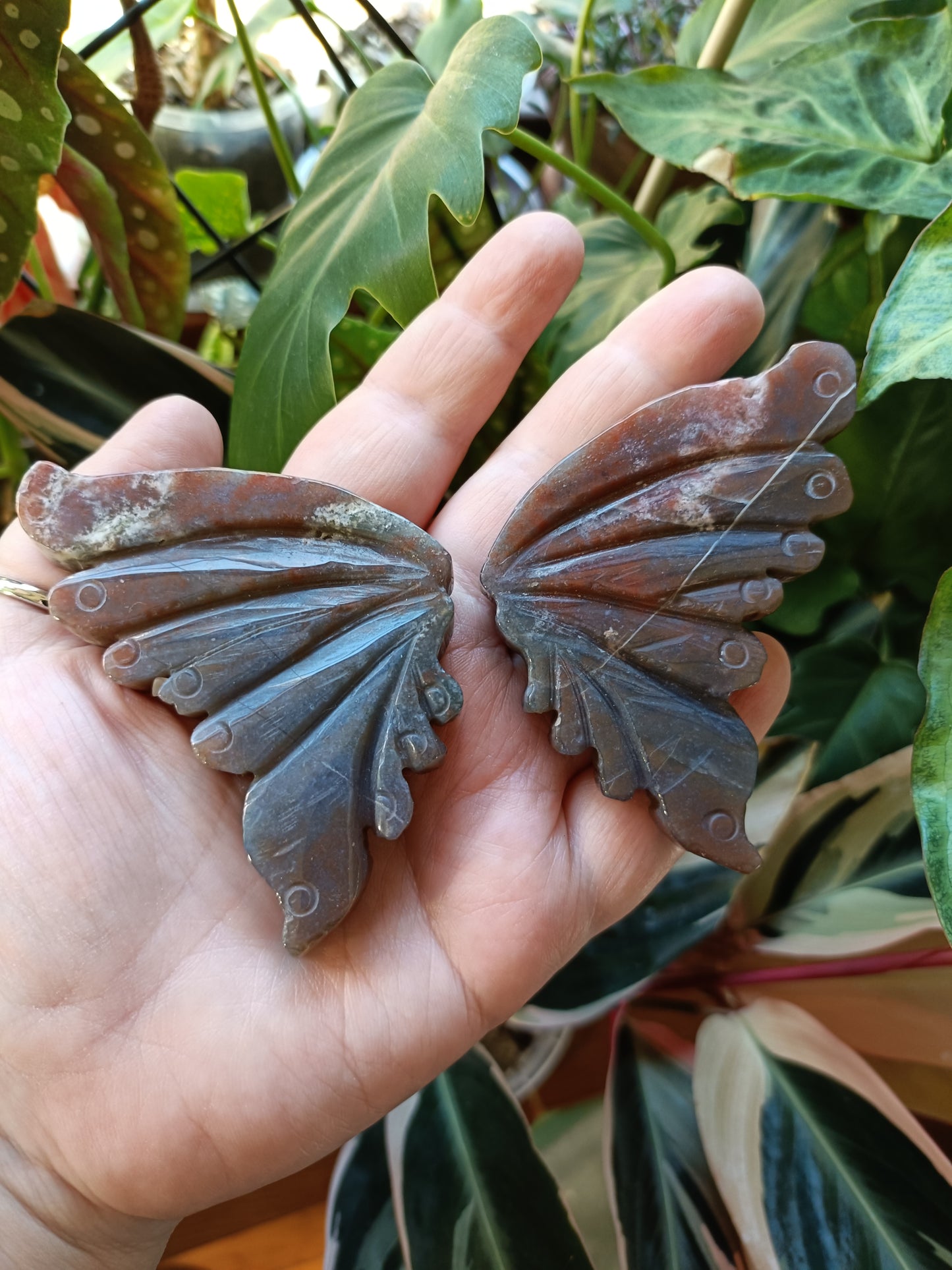 Ocean Jasper Butterfly Wings with Stand - 127g