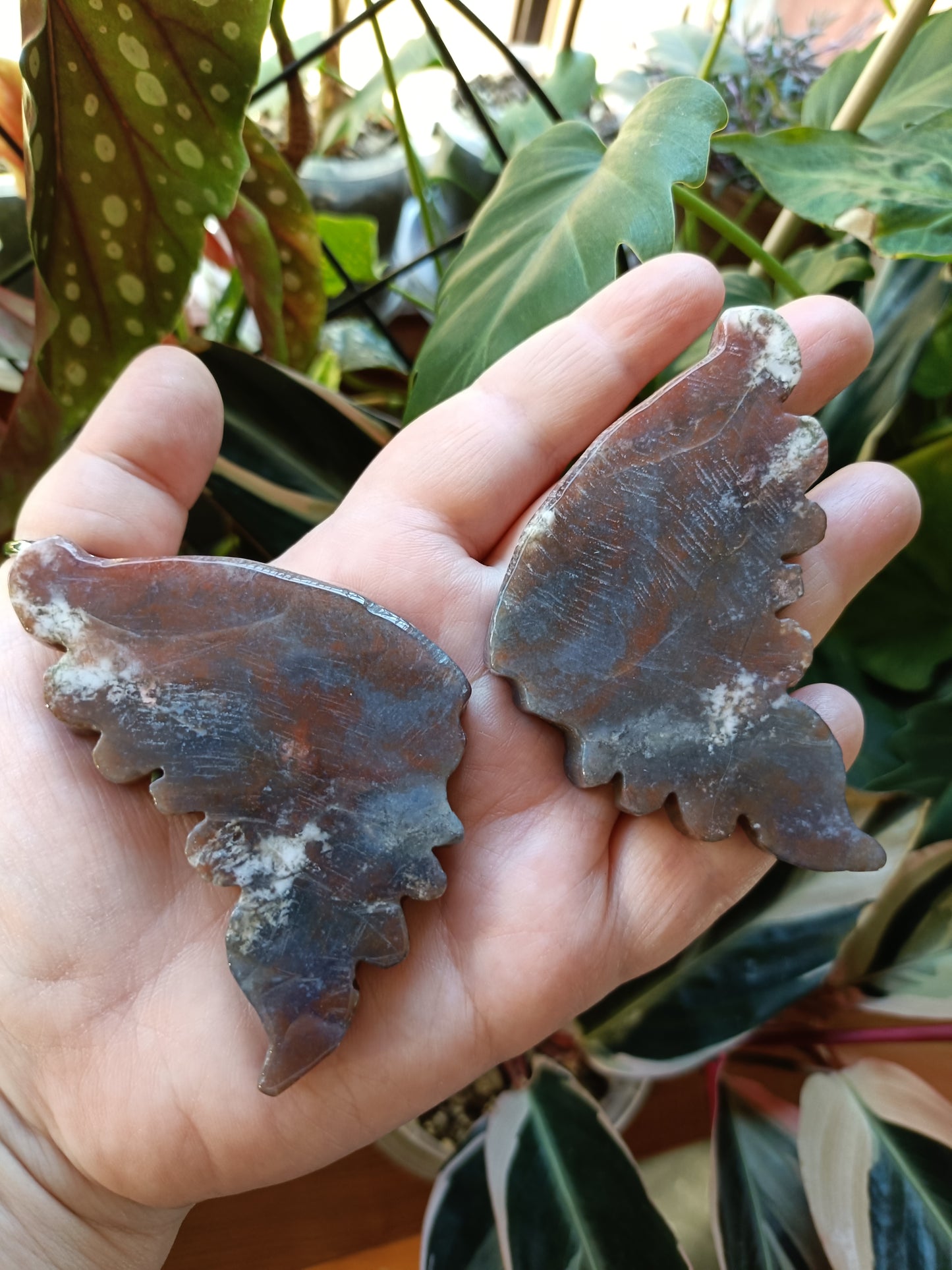 Ocean Jasper Butterfly Wings with Stand - 127g