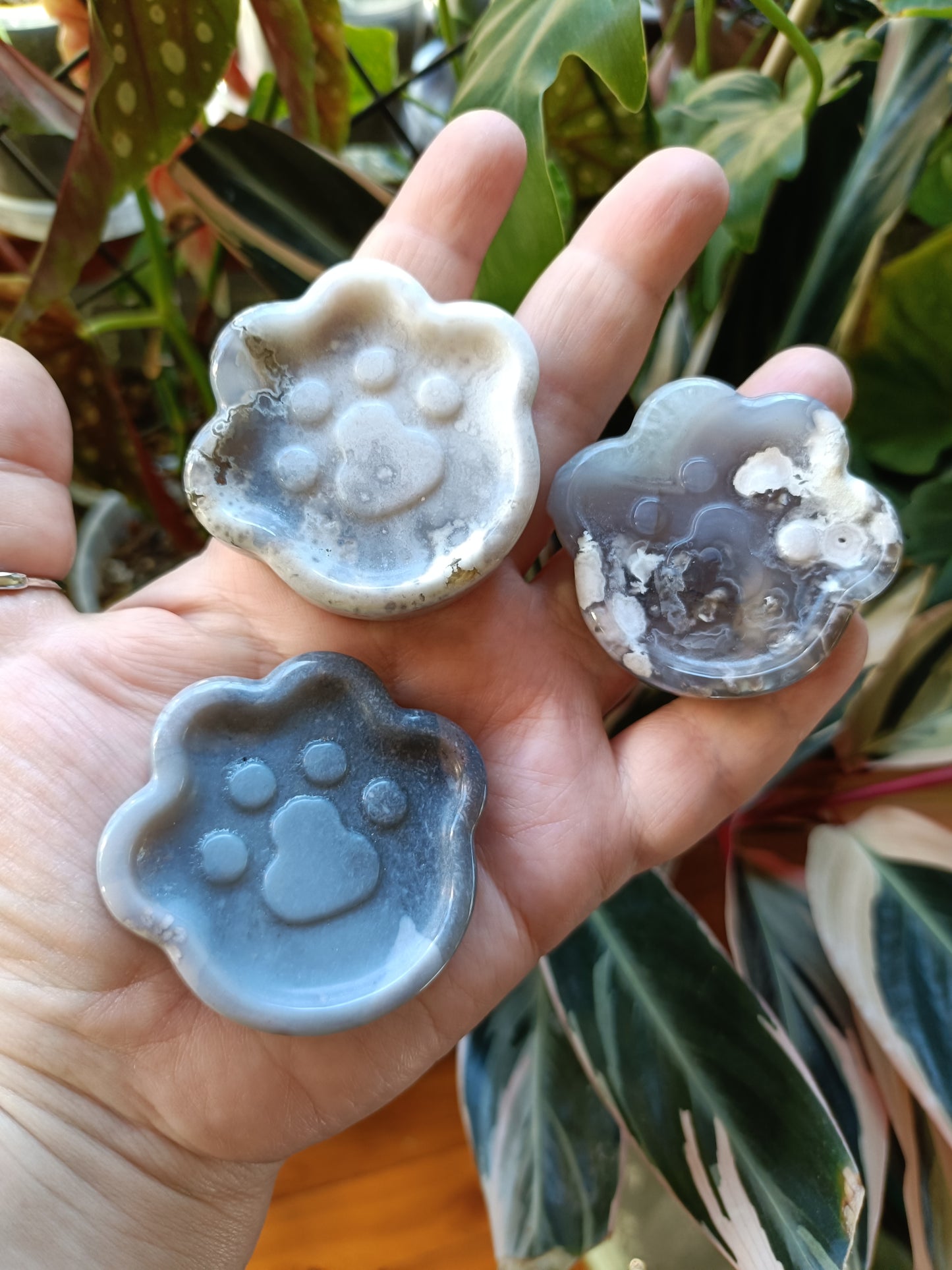 Black Flower Agate Cat Paw Trinket Dish - 50g
