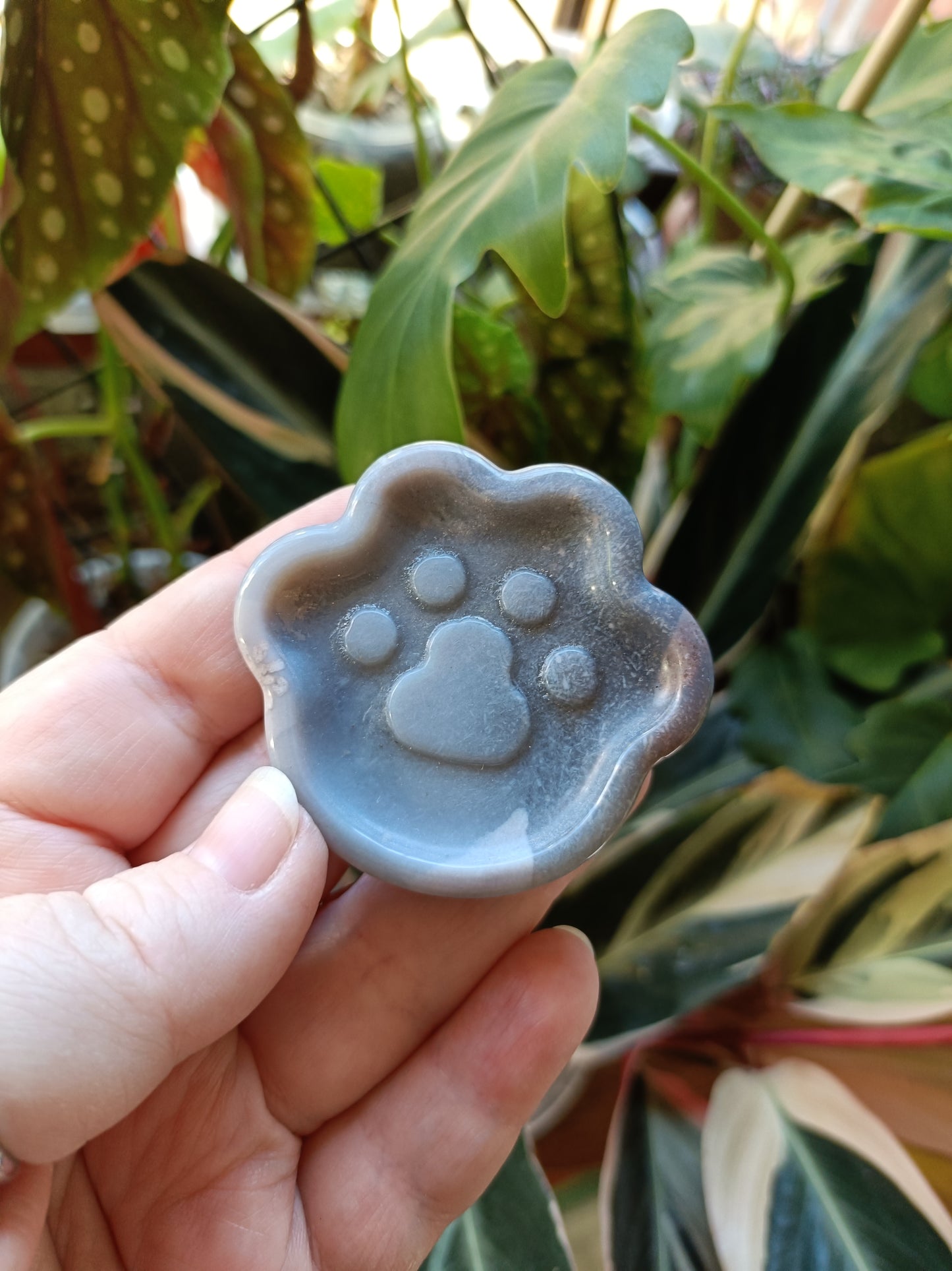 Black Flower Agate Cat Paw Trinket Dish - 50g