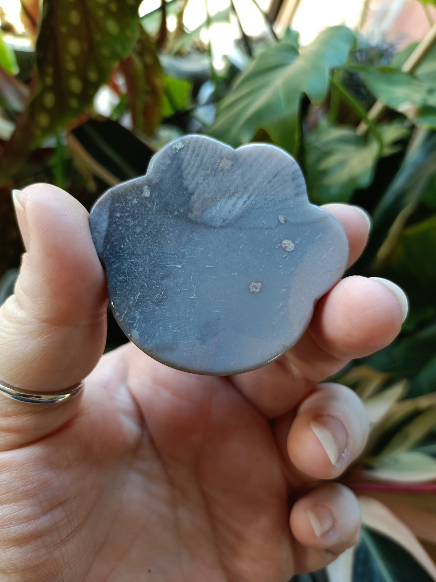 Black Flower Agate Cat Paw Trinket Dish - 50g