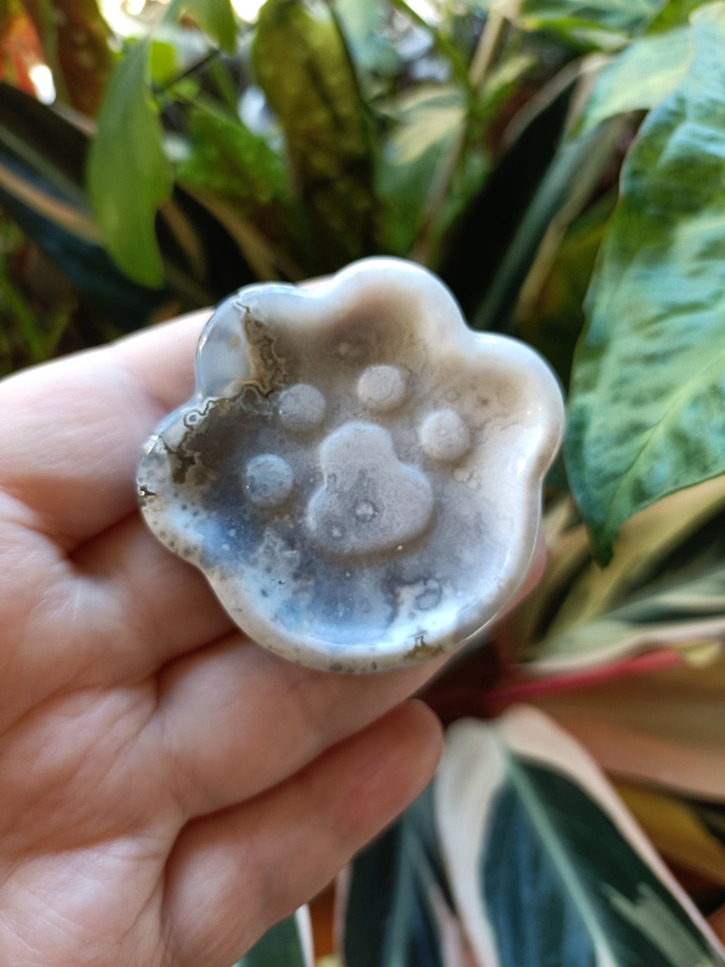Black Flower Agate Cat Paw Trinket Dish - 50g