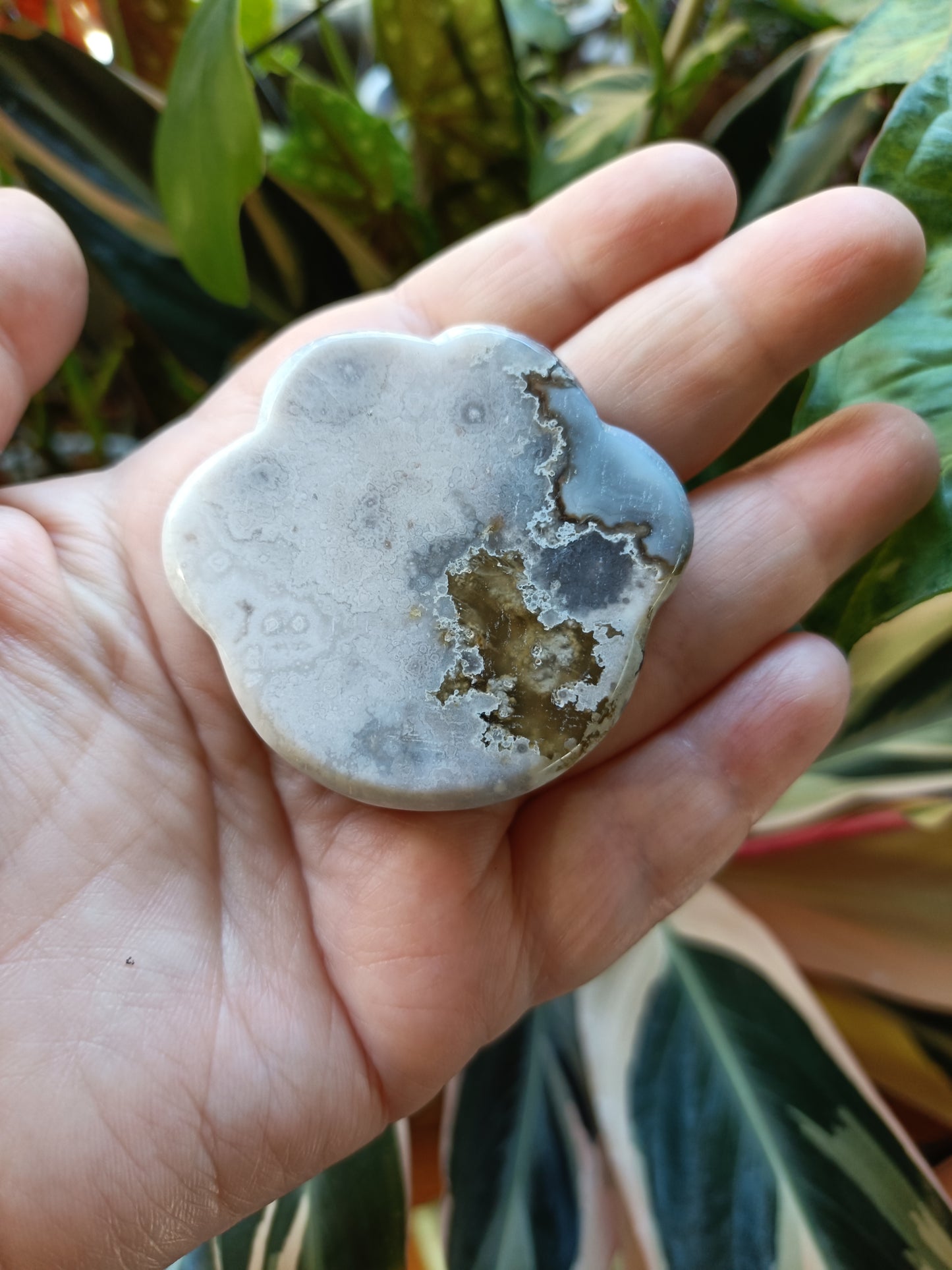 Black Flower Agate Cat Paw Trinket Dish - 50g