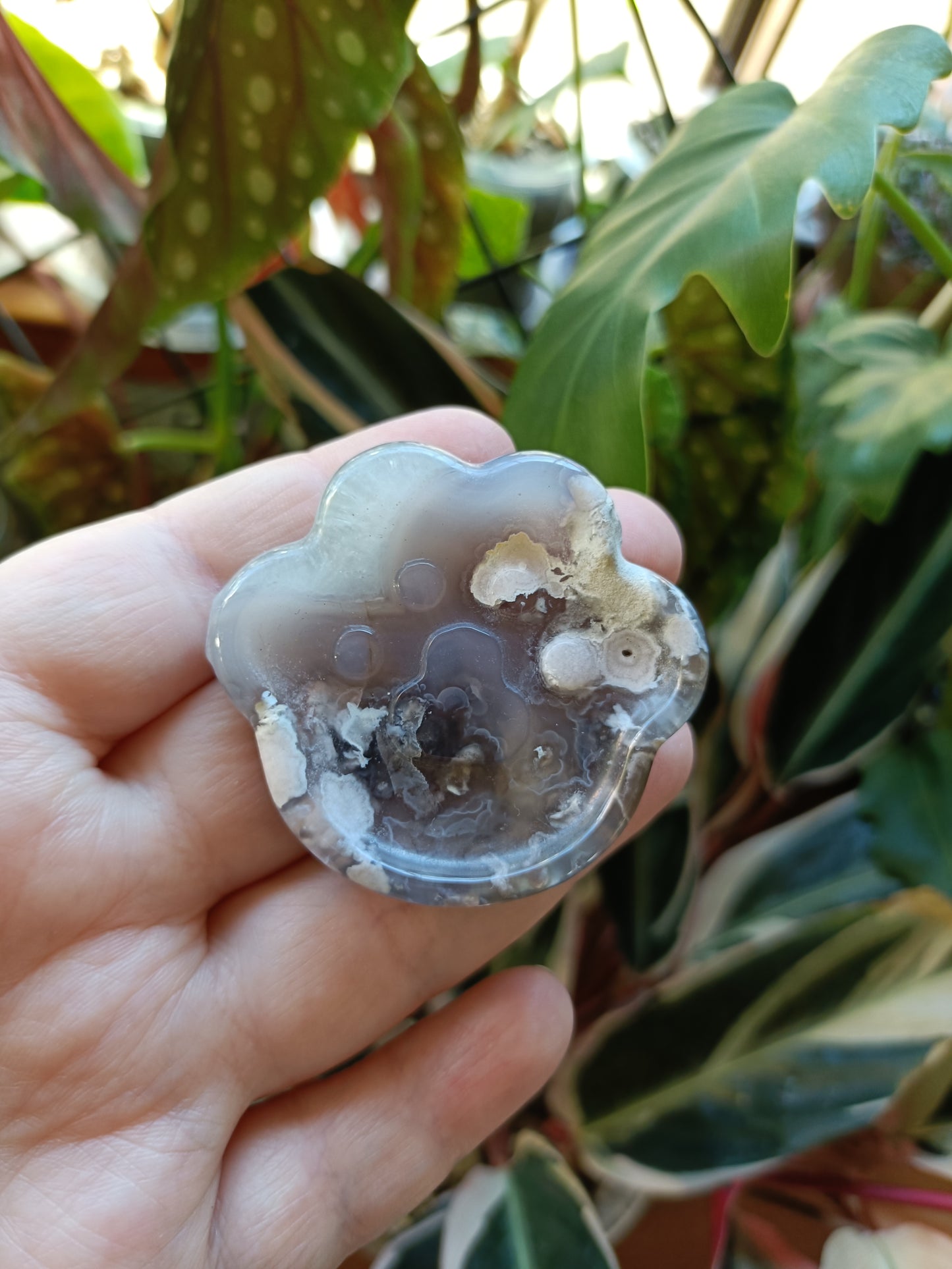 Black Flower Agate Cat Paw Trinket Dish - 50g
