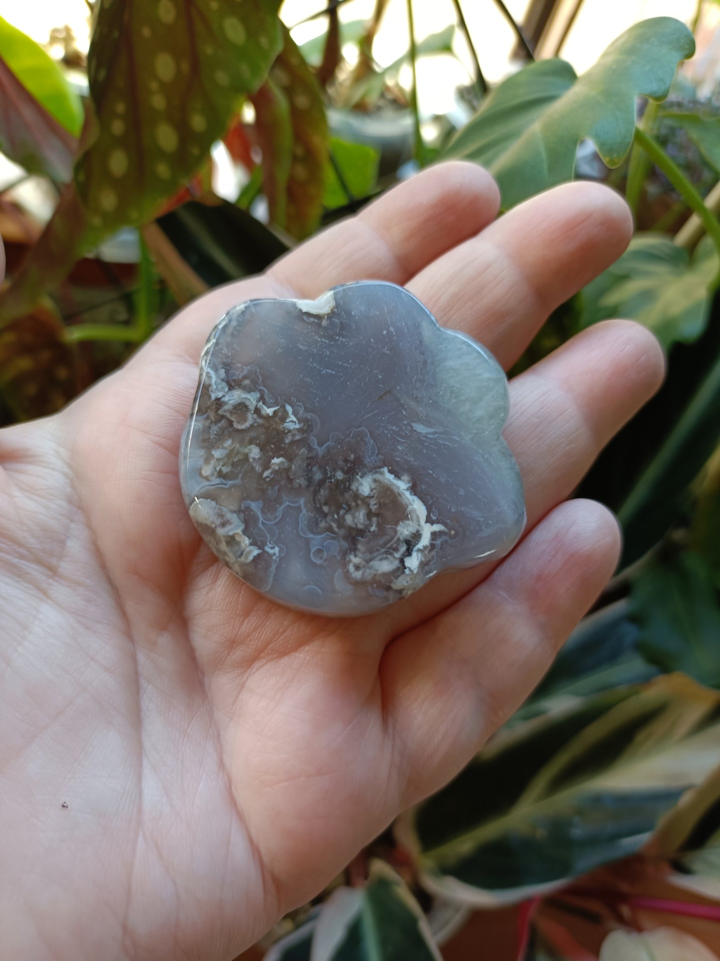Black Flower Agate Cat Paw Trinket Dish - 50g