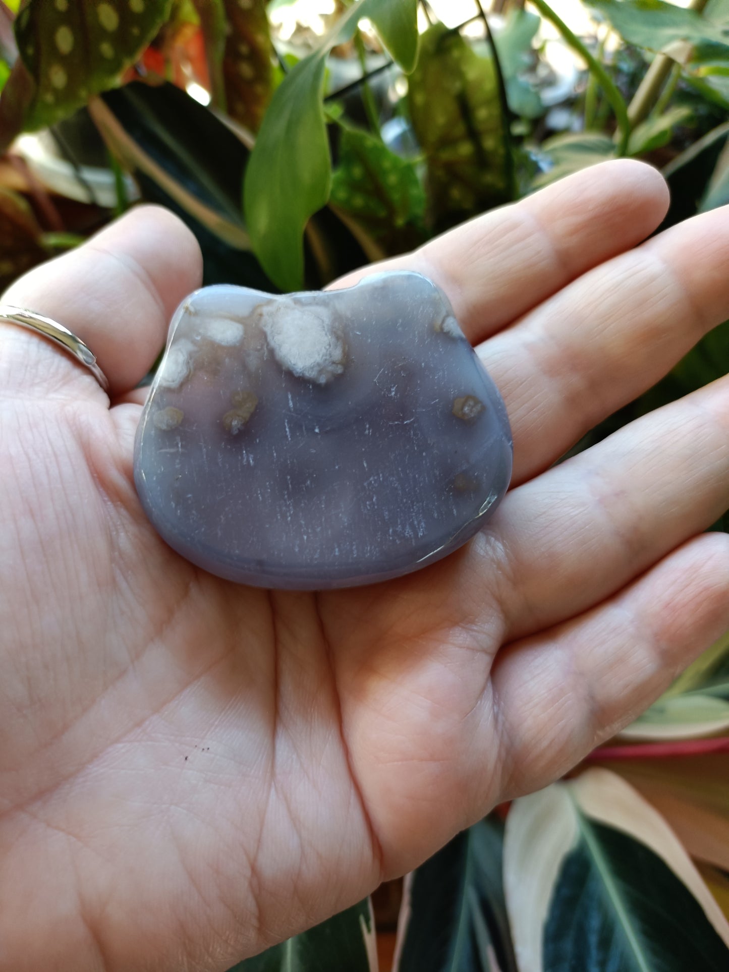 Black Flower Agate Kitty Head Trinket Dish - 60g