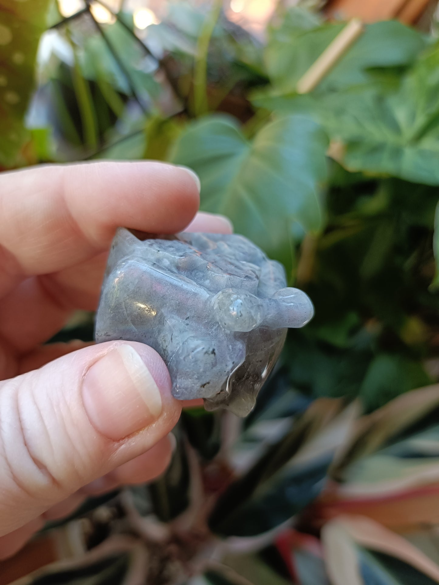 Labradorite Mini Fairy Cottage Carving - 50g