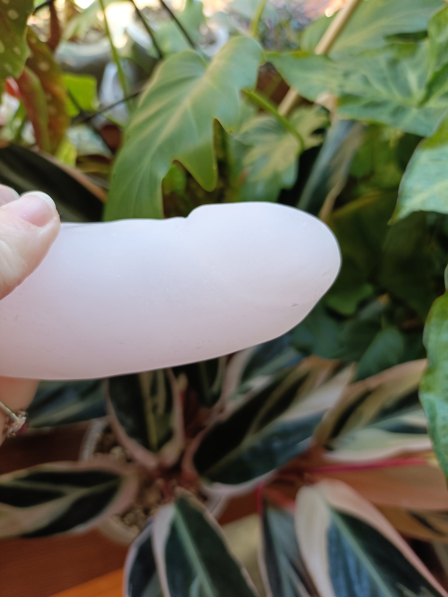 Pink Mangano Calcite Ding Ding - 684g