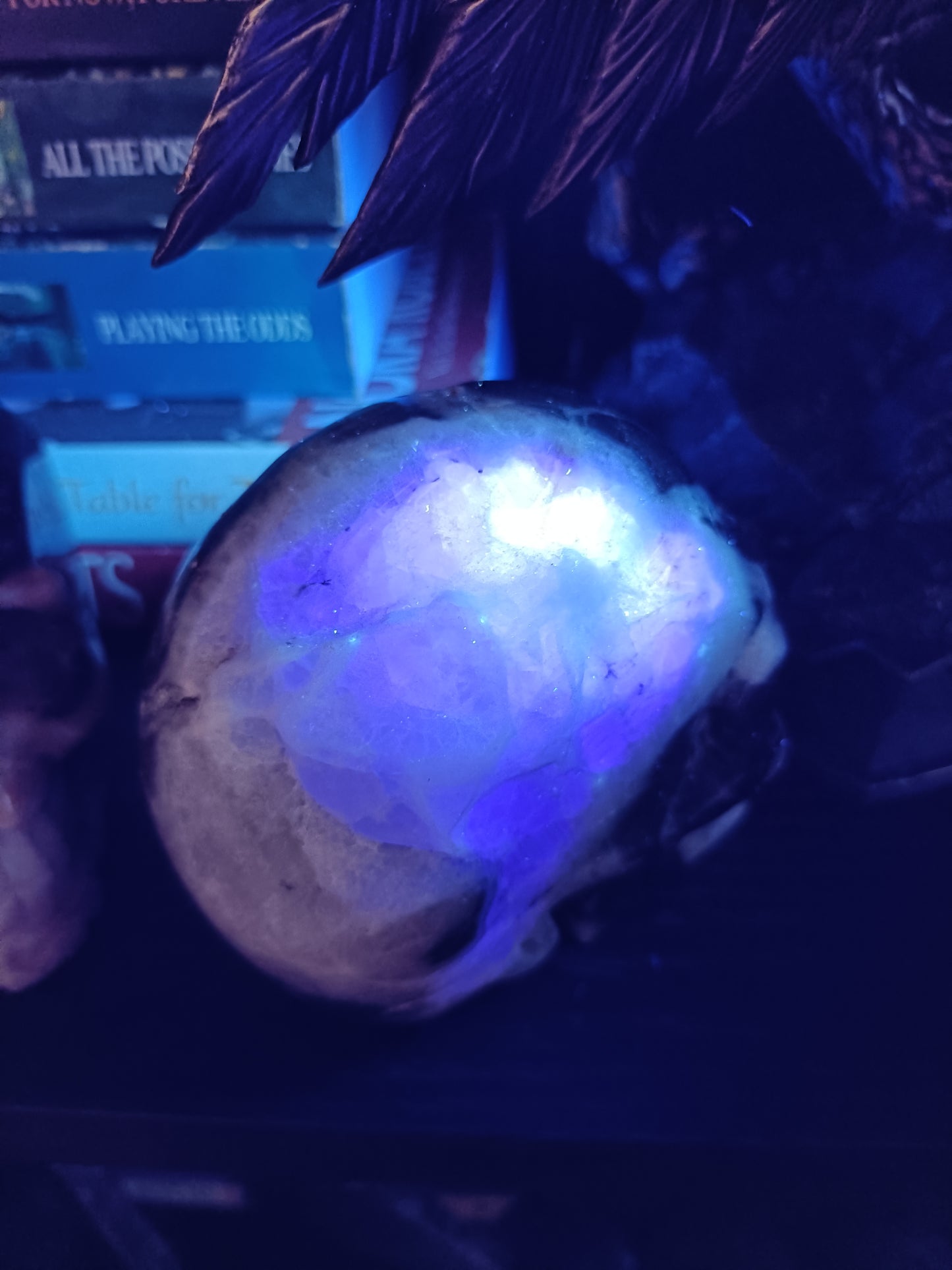 Blue Quartzite Skull Carving - 880g