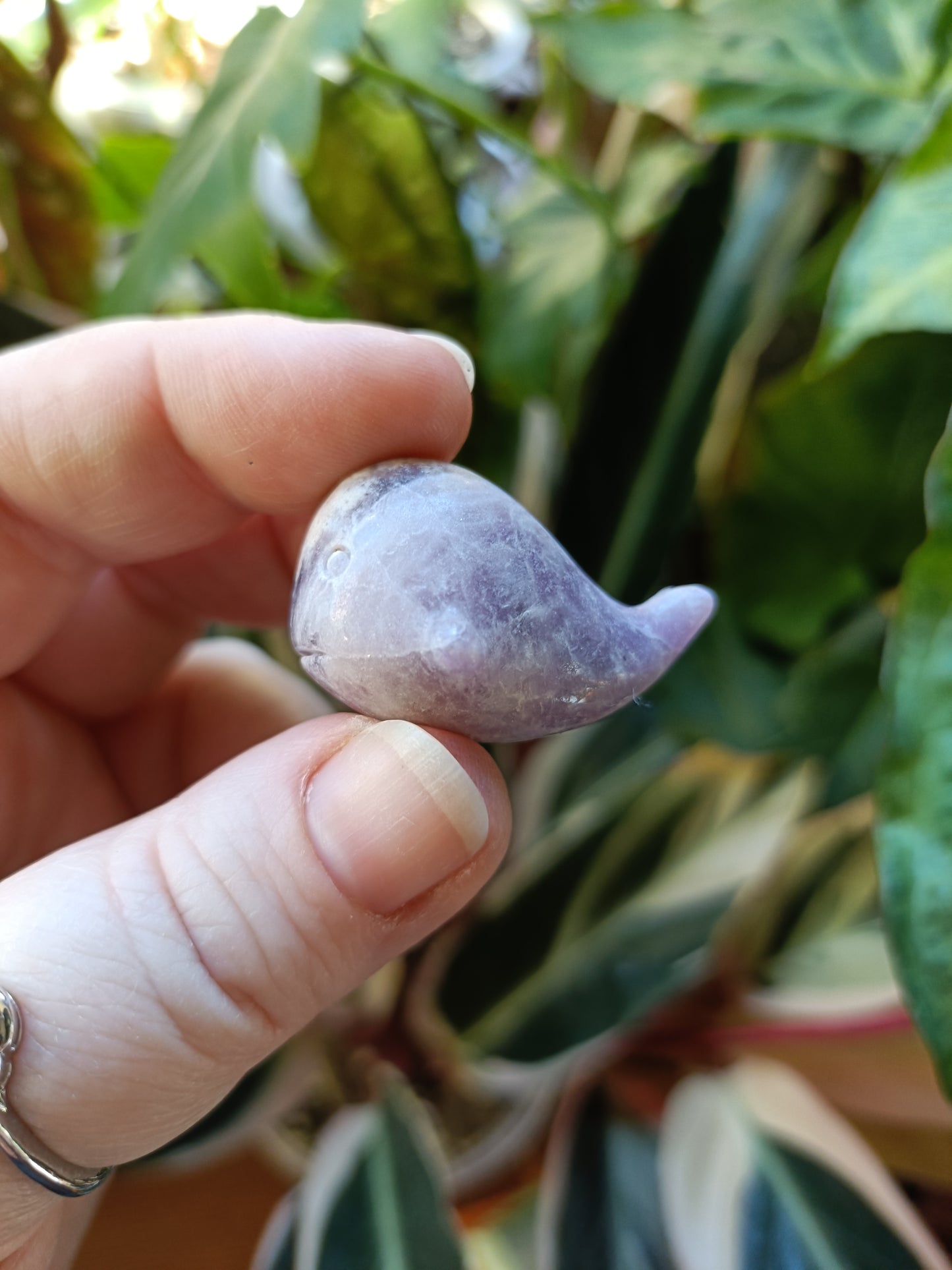 Mixed Stone Mini Whale Carving - 15g