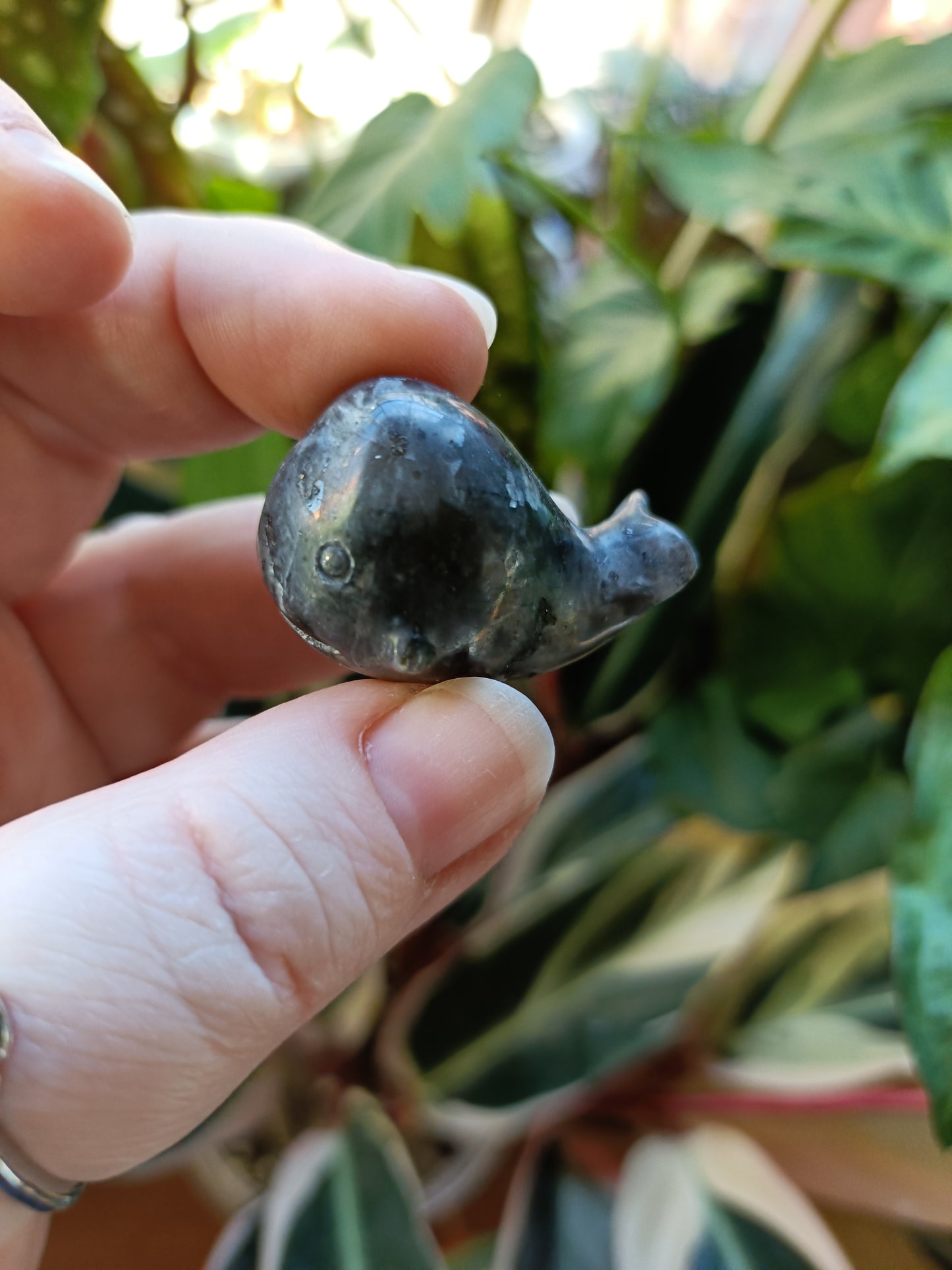 Mixed Stone Mini Whale Carving - 15g