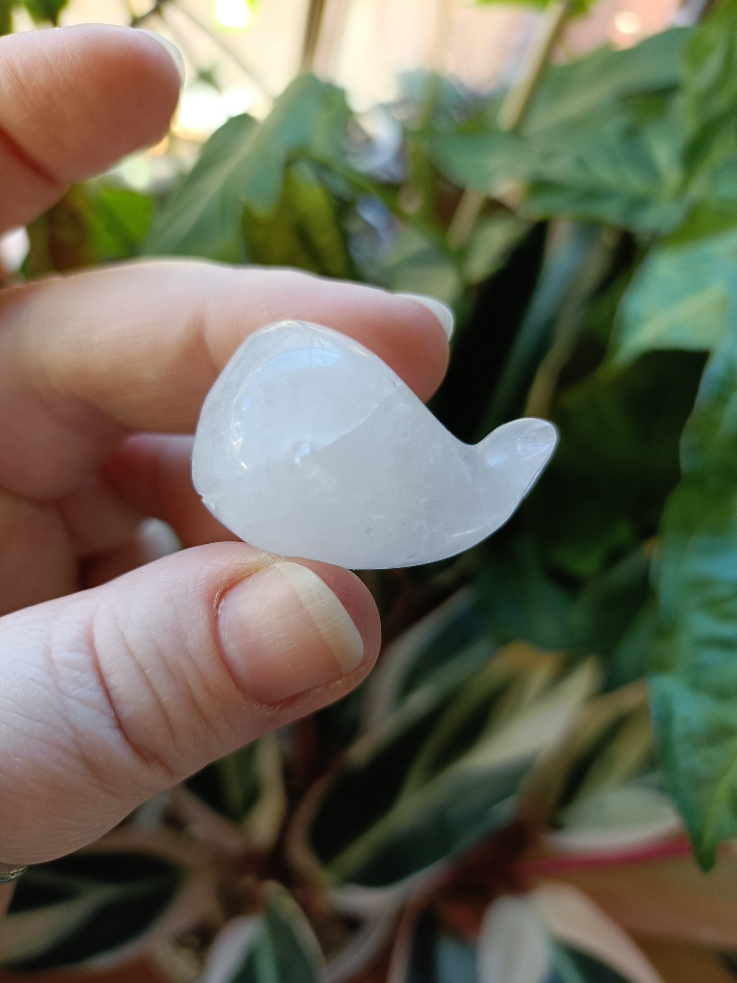 Mixed Stone Mini Whale Carving - 15g