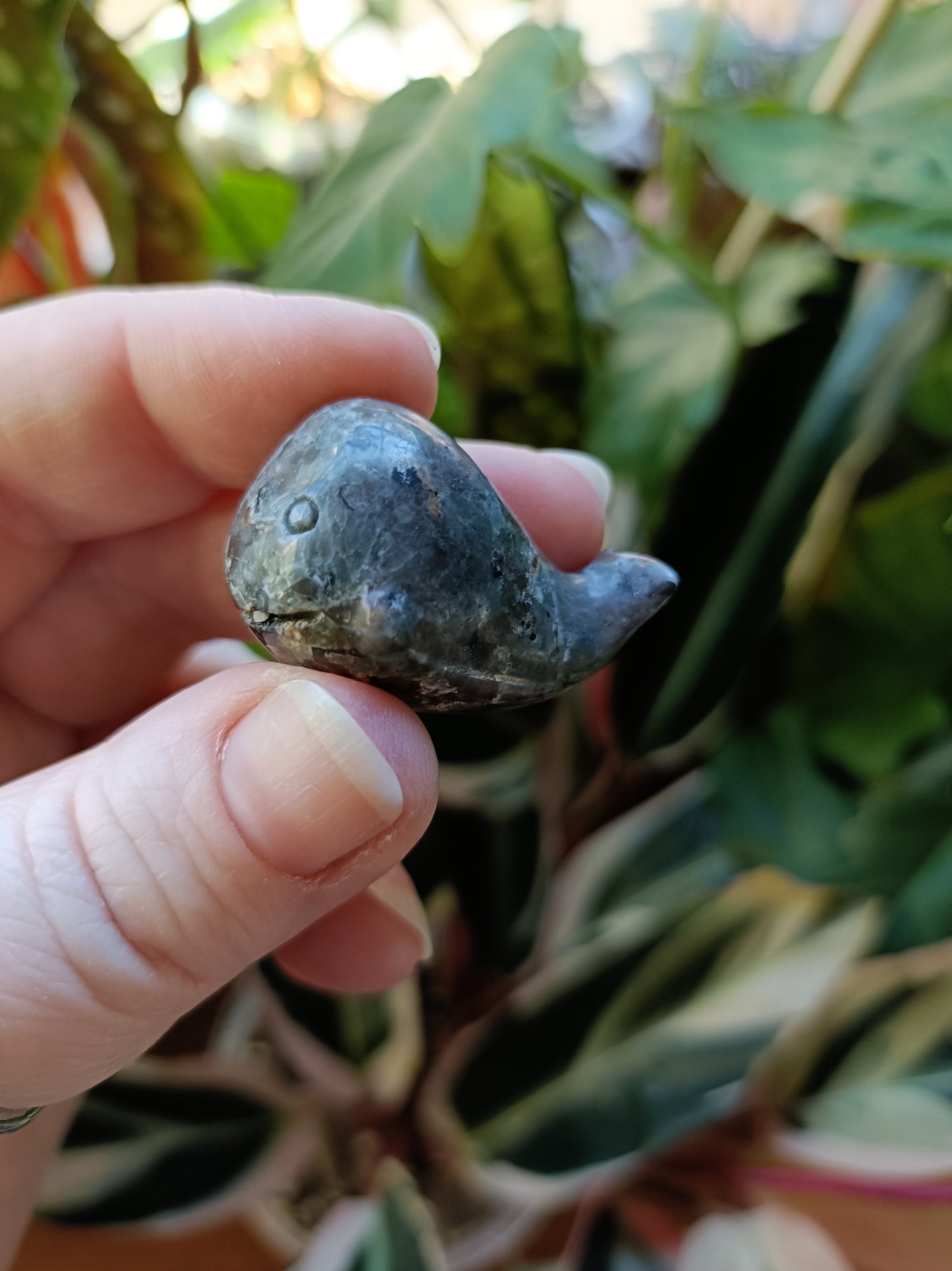 Mixed Stone Mini Whale Carving - 15g
