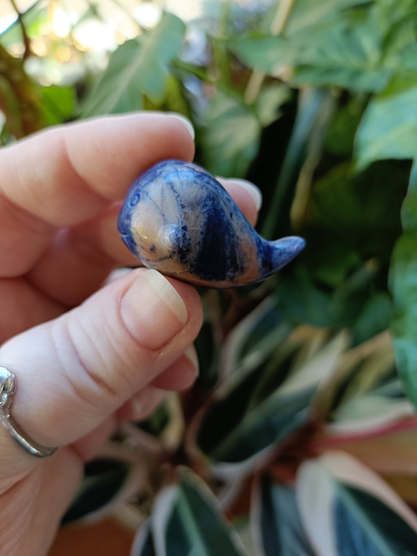 Mixed Stone Mini Whale Carving - 15g