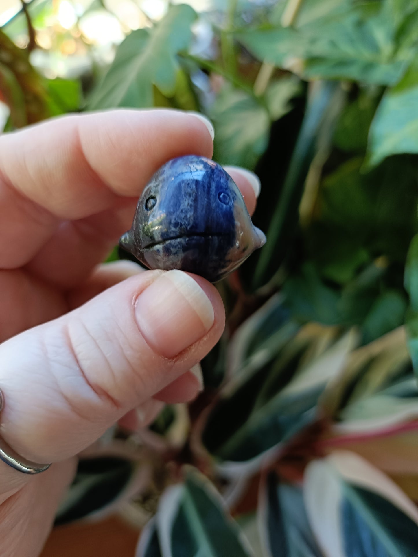 Mixed Stone Mini Whale Carving - 15g