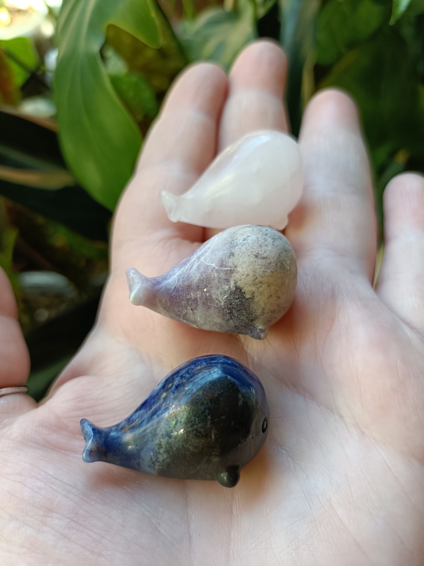 Mixed Stone Mini Whale Carving - 15g