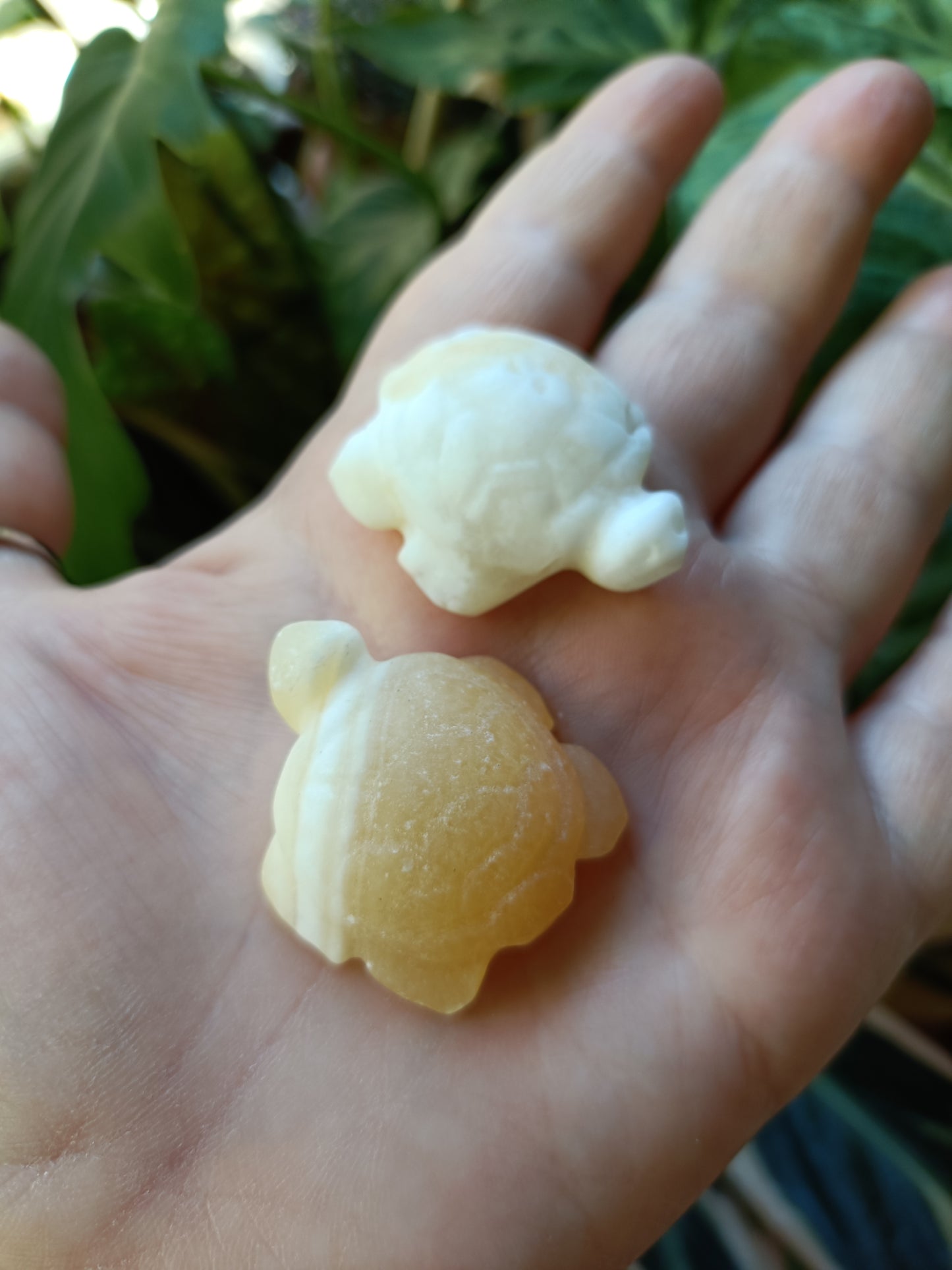 Mixed Stone Mini Sea Turtle Carving - 20g