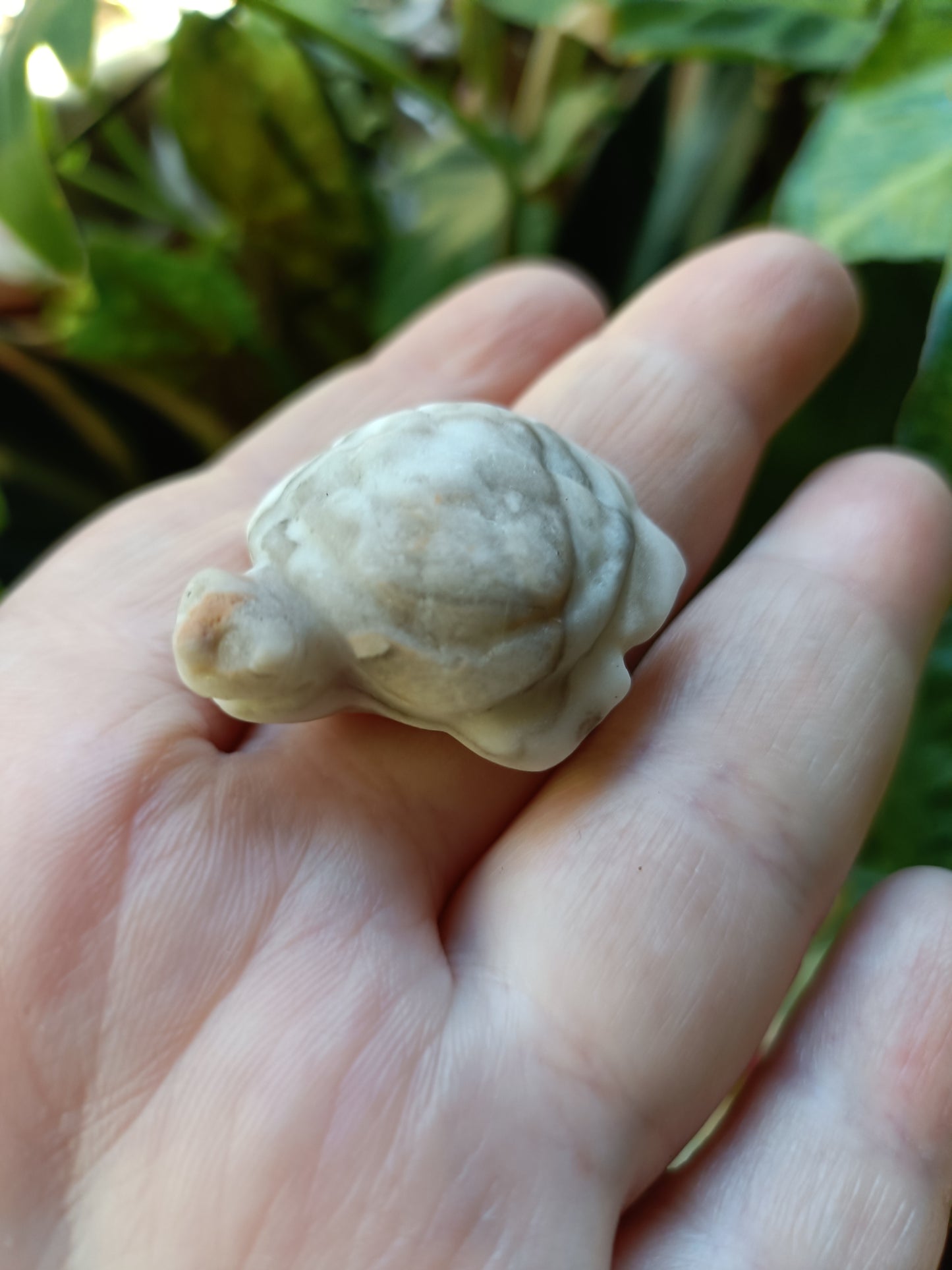 Mixed Stone Mini Sea Turtle Carving - 20g