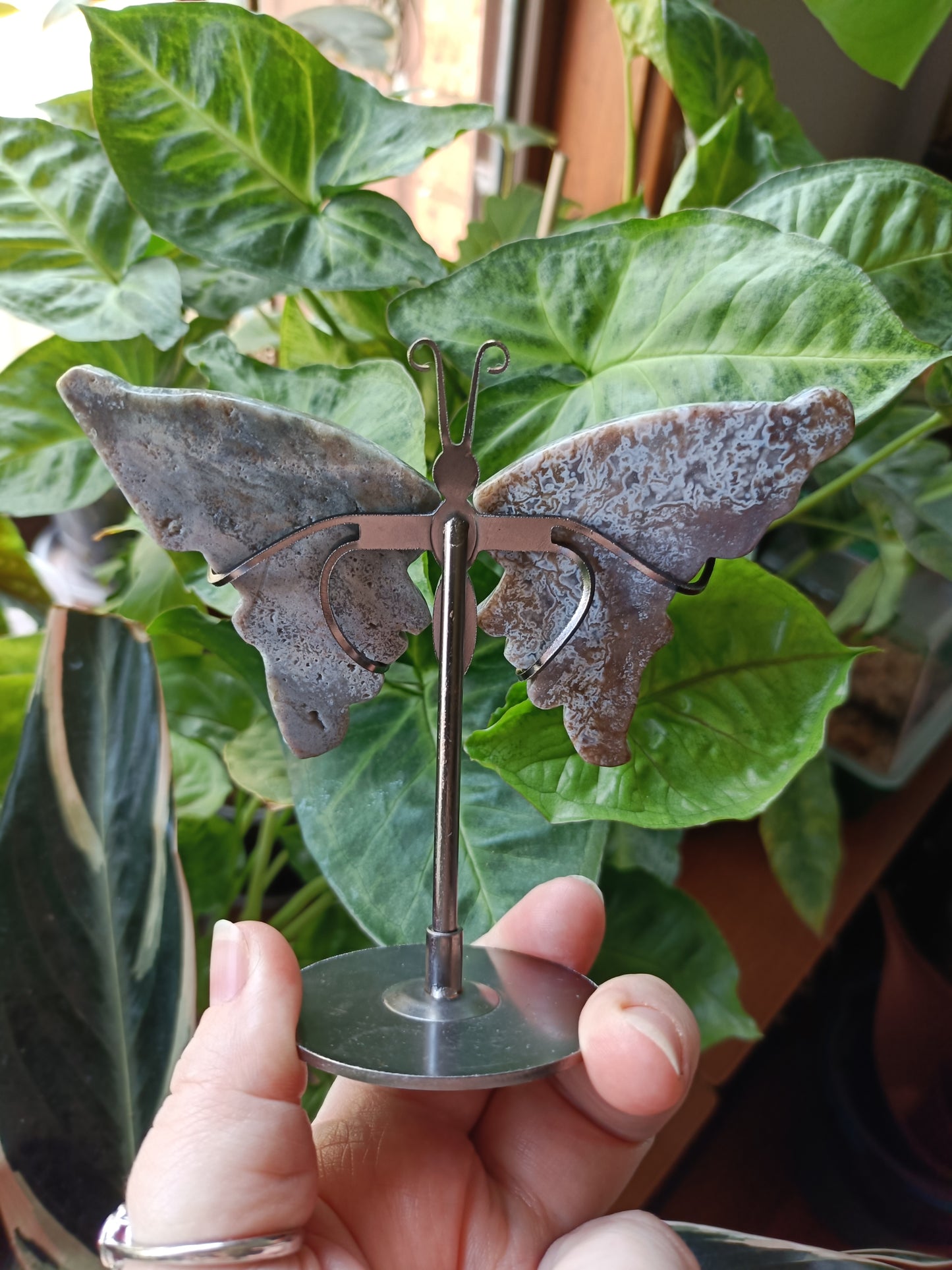 Ocean Jasper Butterfly Wings with Stand - 84g
