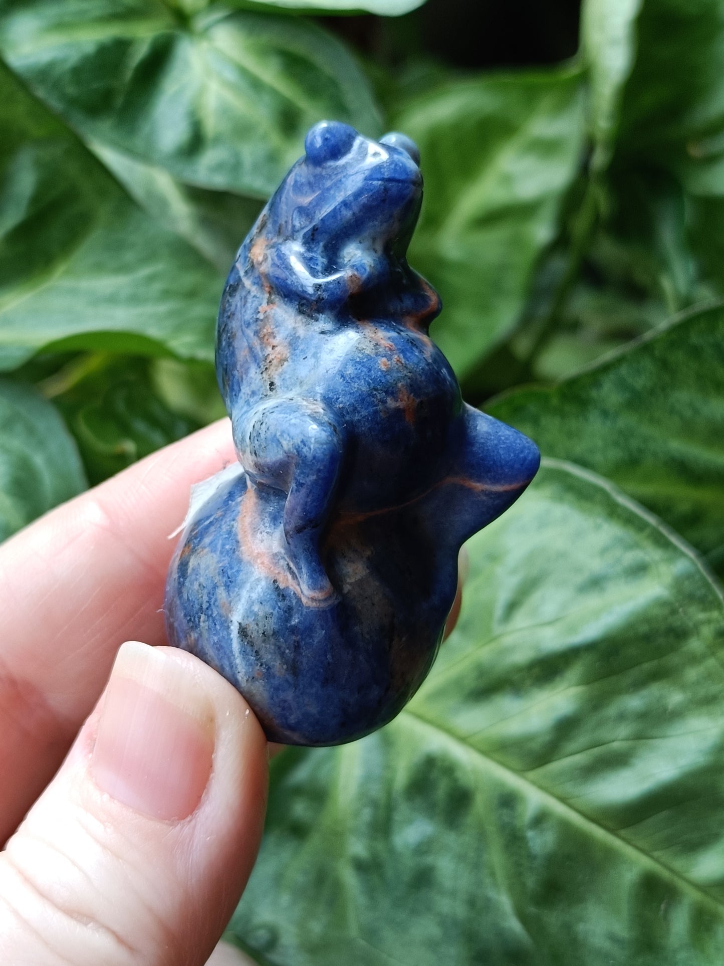 Mixed Stone Sitting Grumpy Frog Carving - 50-70g