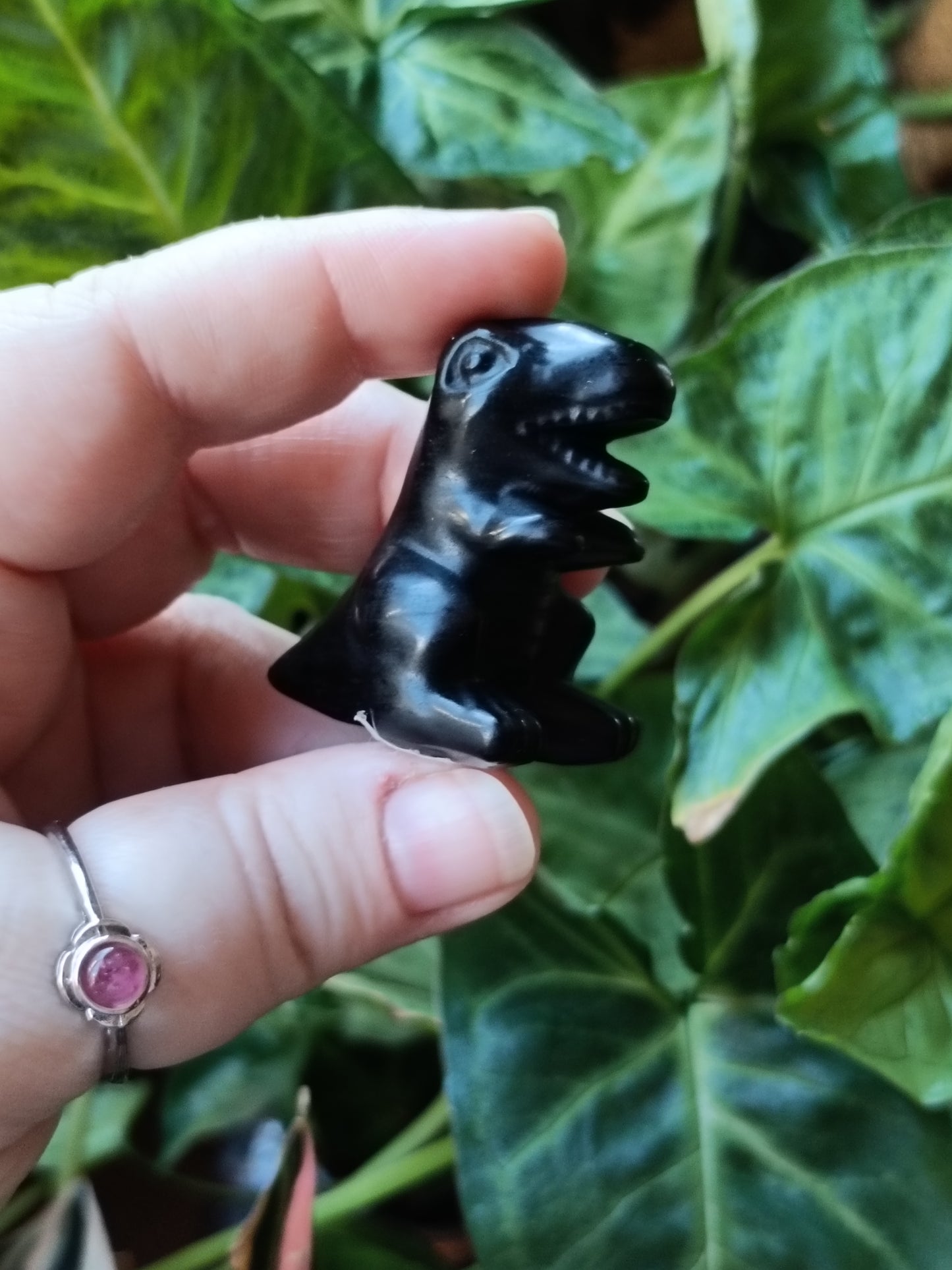 Mixed Stone Mini T-Rex Carving - 35g