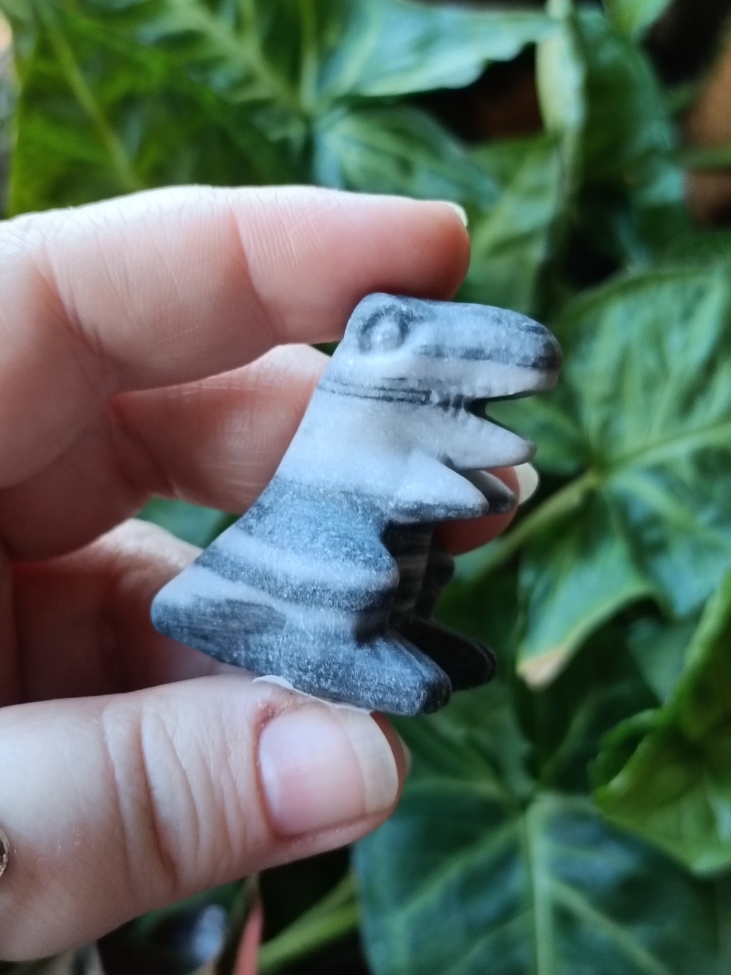 Mixed Stone Mini T-Rex Carving - 35g