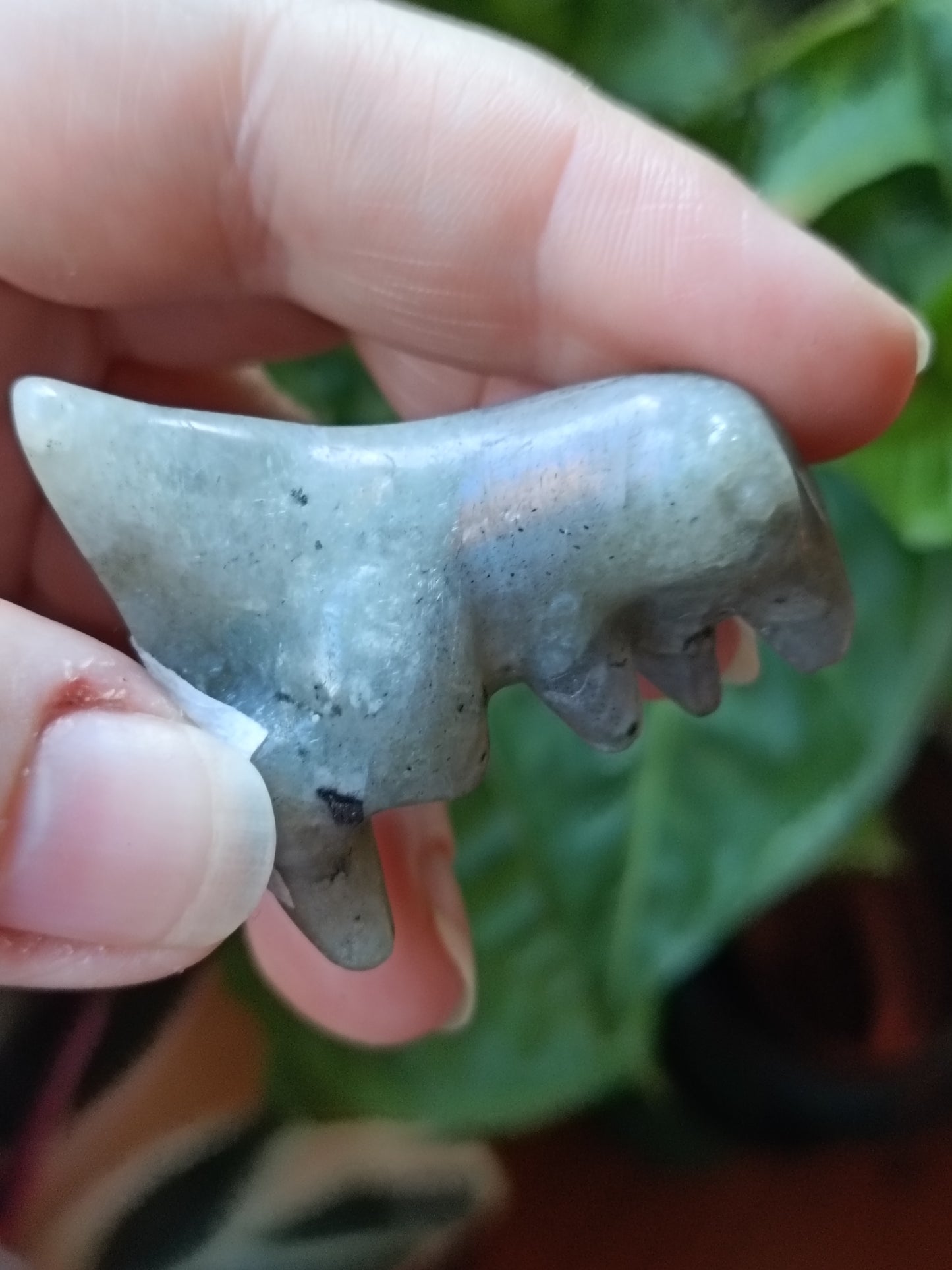 Mixed Stone Mini T-Rex Carving - 35g