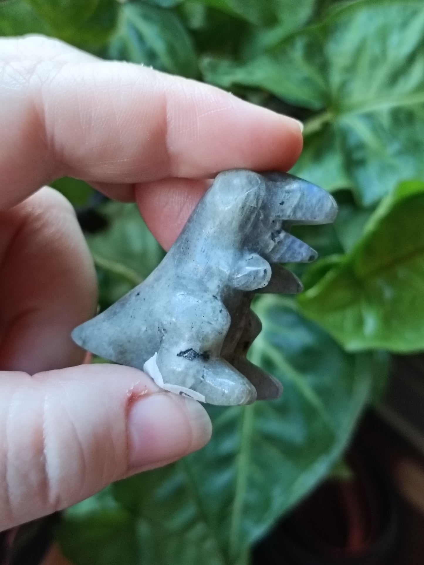 Mixed Stone Mini T-Rex Carving - 35g