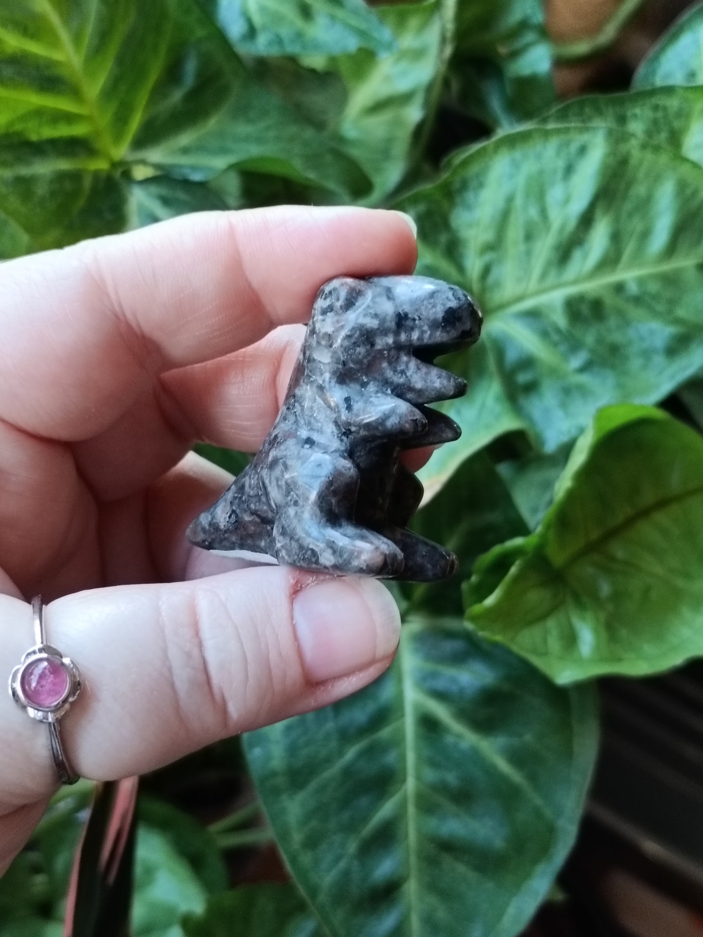 Mixed Stone Mini T-Rex Carving - 35g