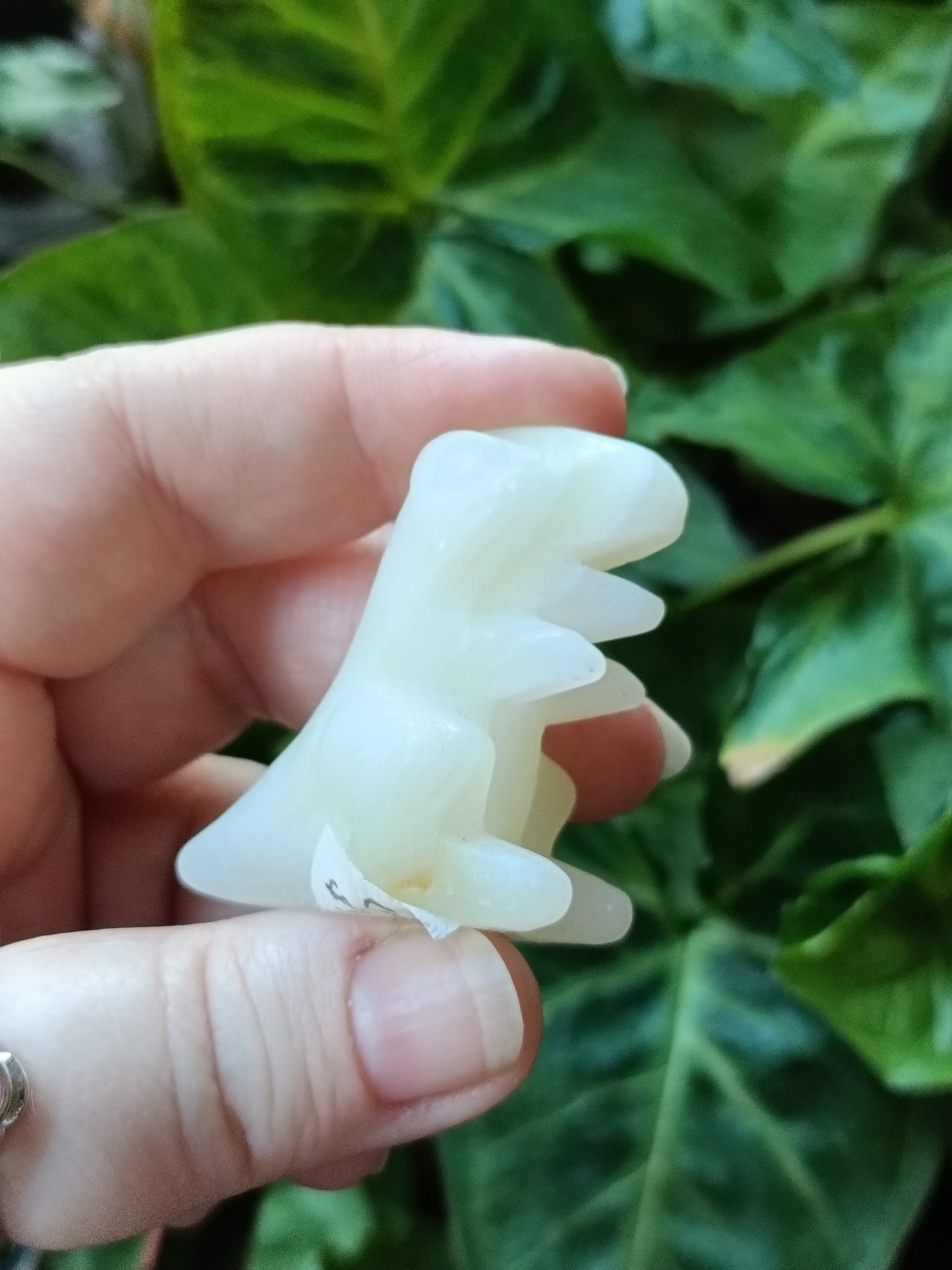 Mixed Stone Mini T-Rex Carving - 35g