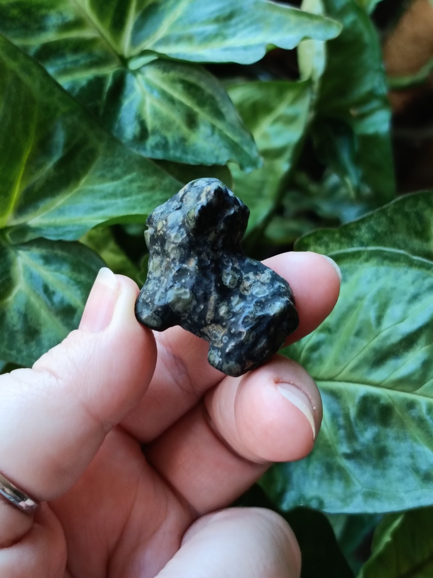 Mixed Stone Mini Highland Cow Carving - 30g