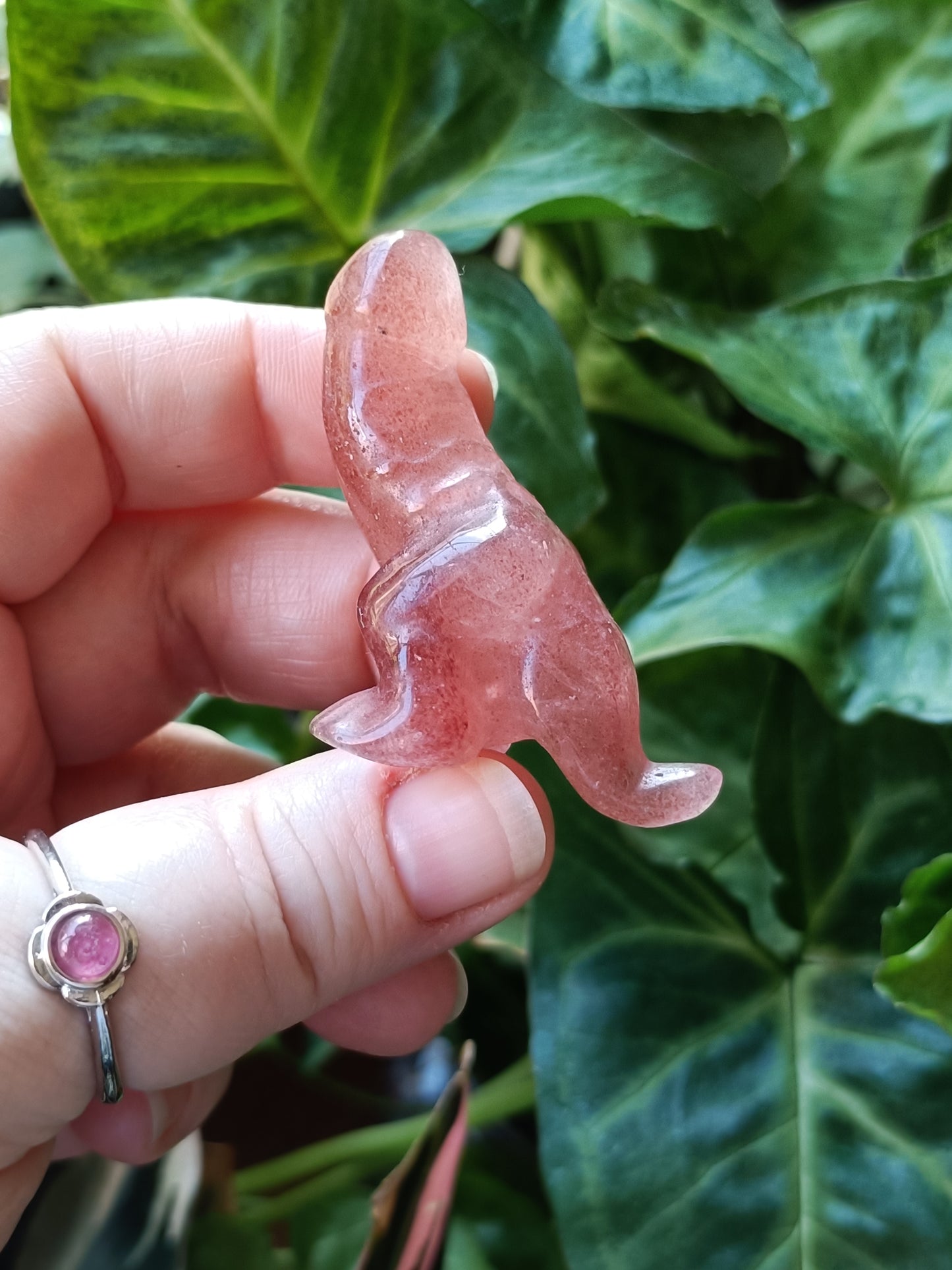 Mixed Stone Dino Ding-Ding Carving - 30g