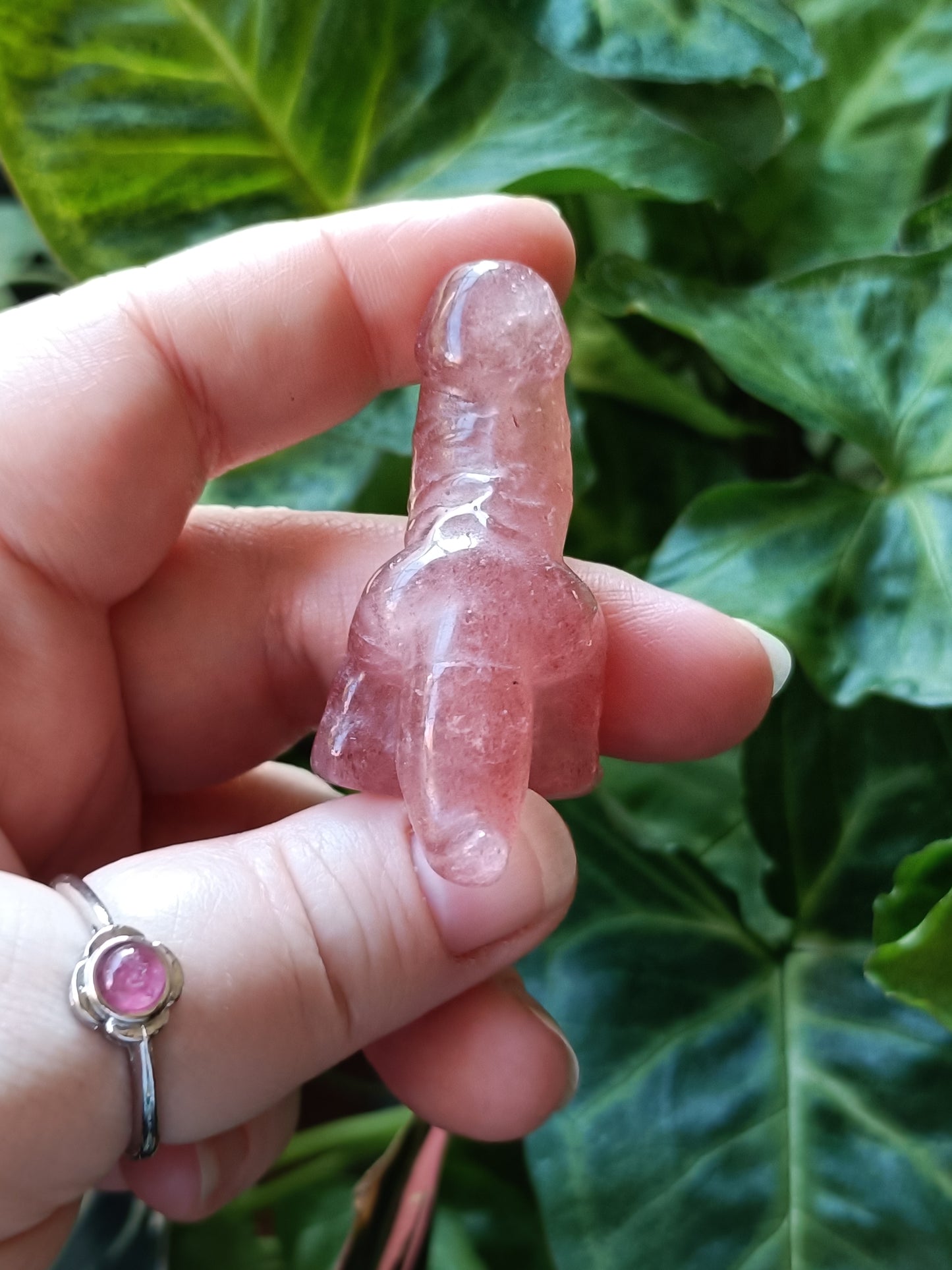 Mixed Stone Dino Ding-Ding Carving - 30g