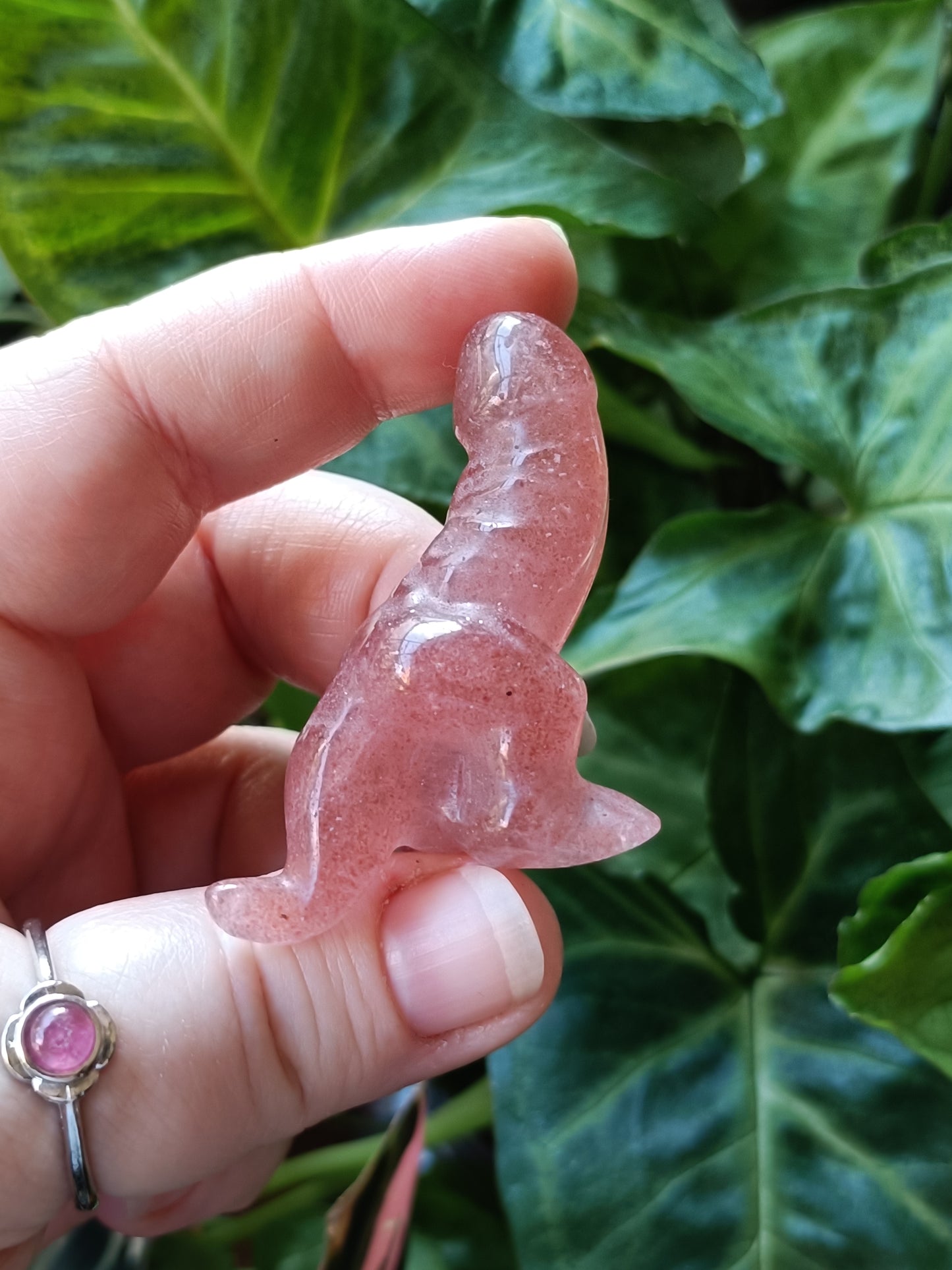 Mixed Stone Dino Ding-Ding Carving - 30g