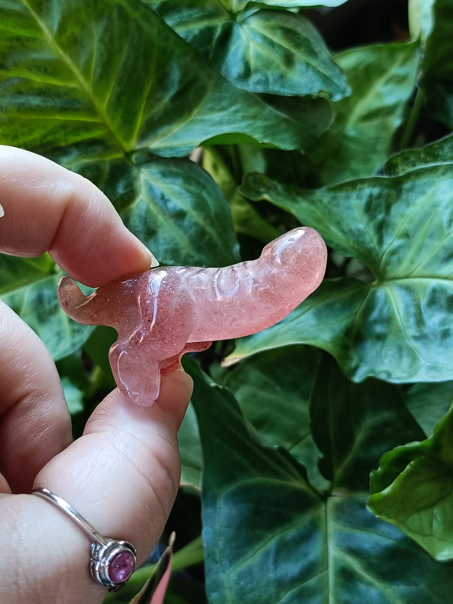 Mixed Stone Dino Ding-Ding Carving - 30g