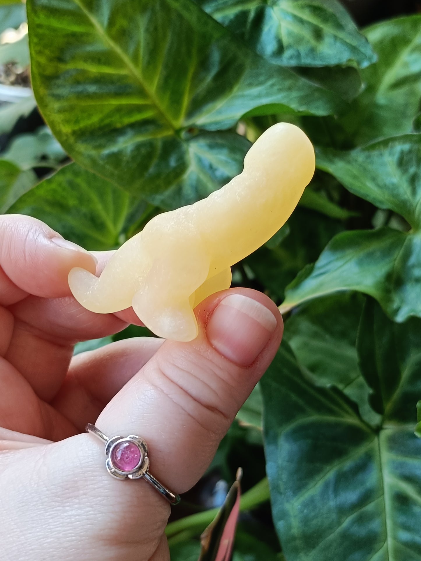Mixed Stone Dino Ding-Ding Carving - 30g