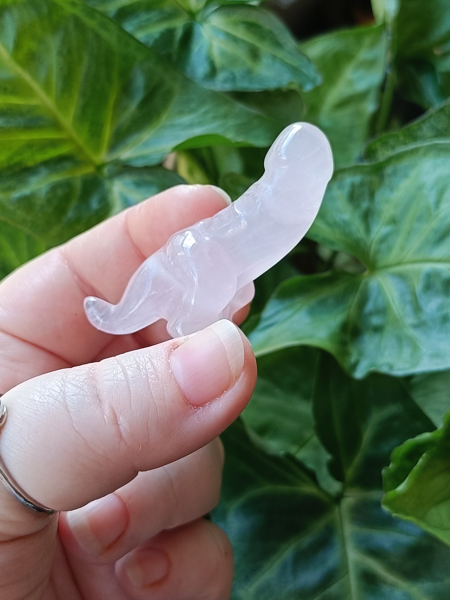 Mixed Stone Dino Ding-Ding Carving - 30g