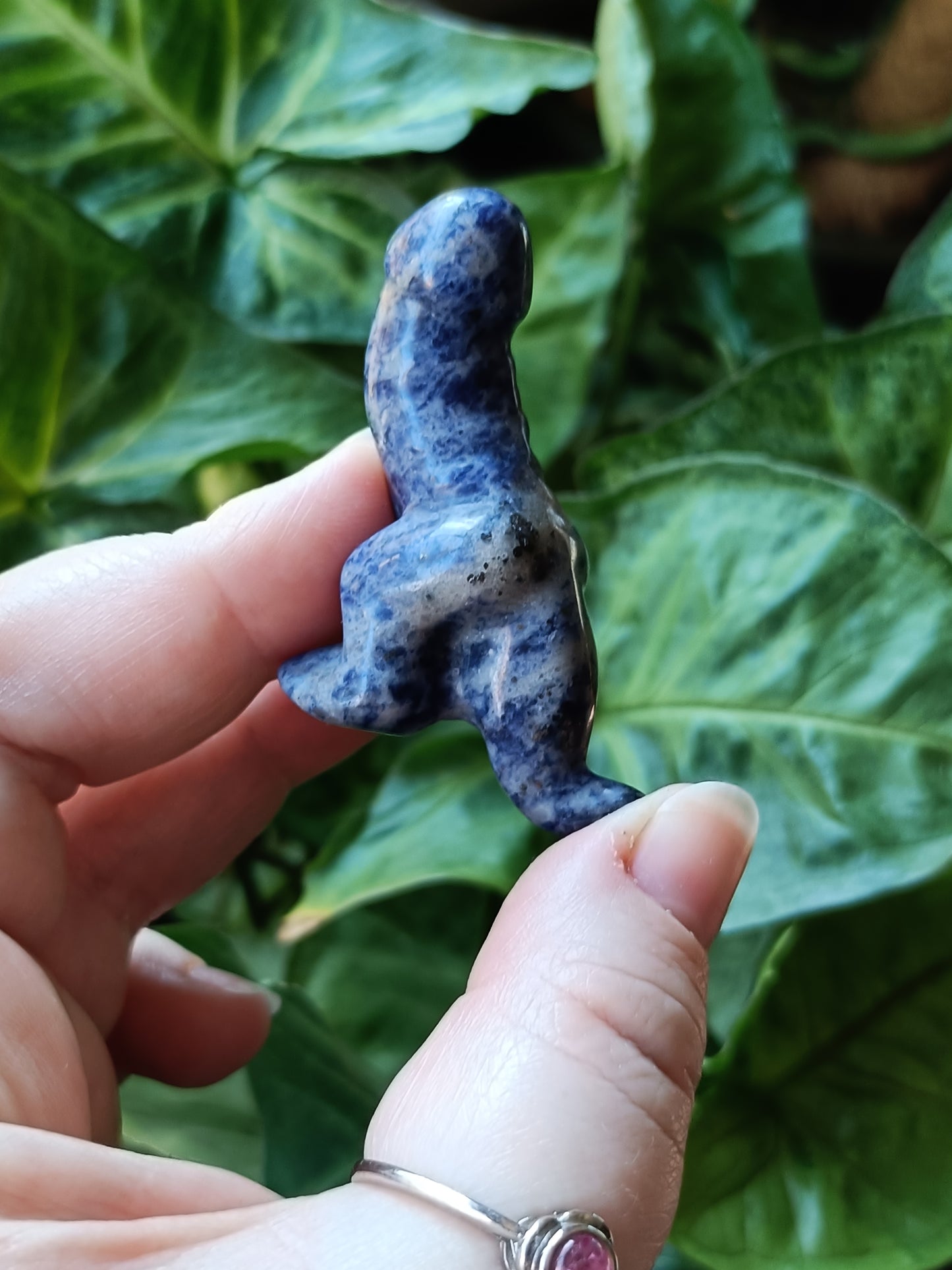 Mixed Stone Dino Ding-Ding Carving - 30g