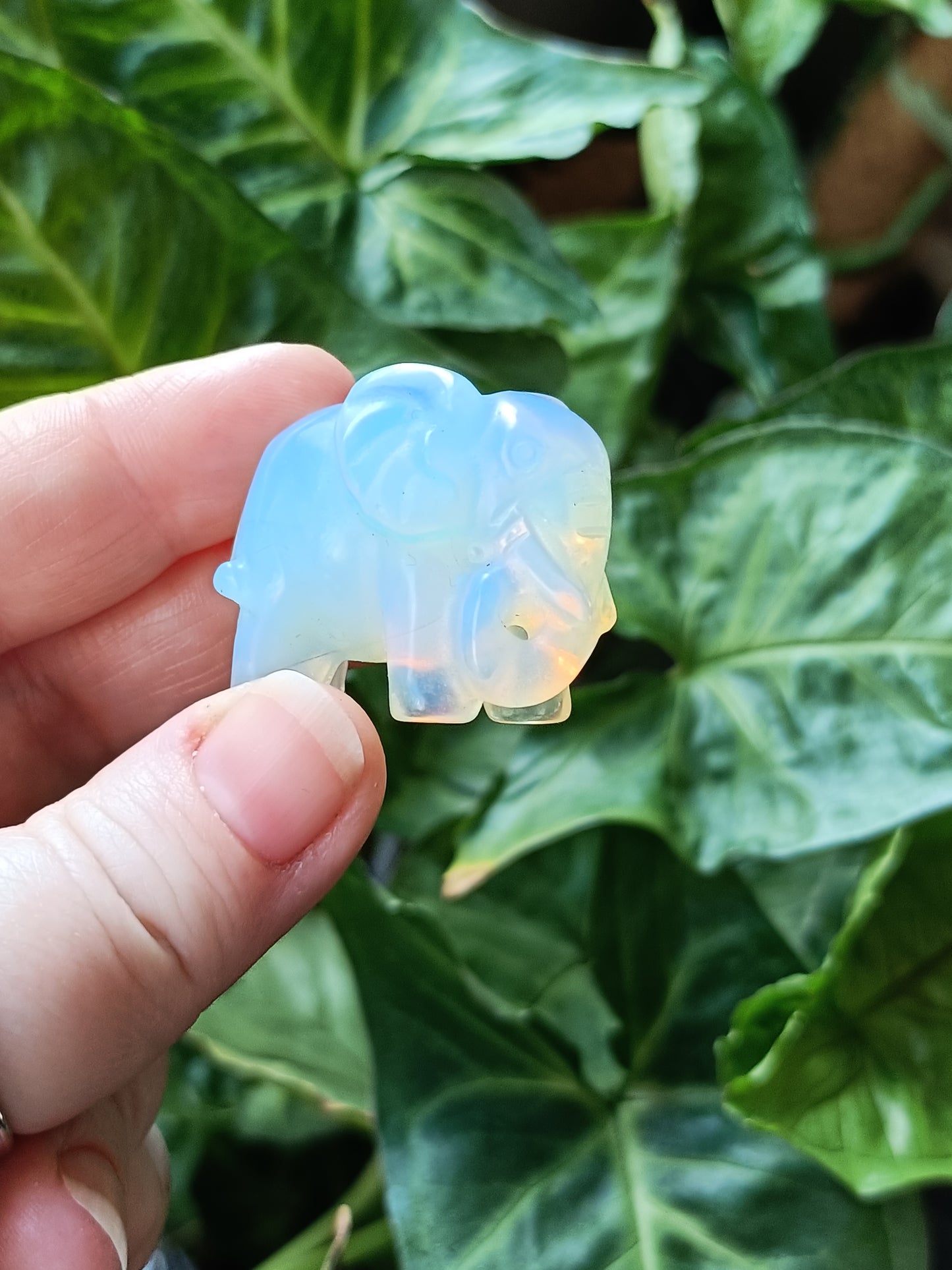 Mixed Stone Resting Elephant Carving - 30-40g
