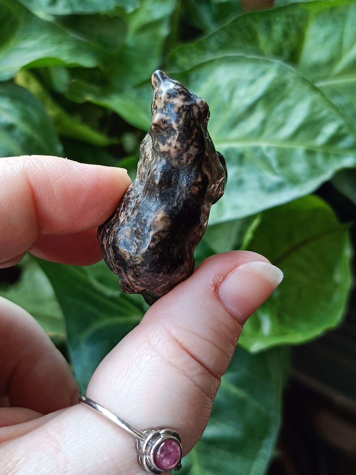 Mixed Stone Natural Bear Carving - 25-30g