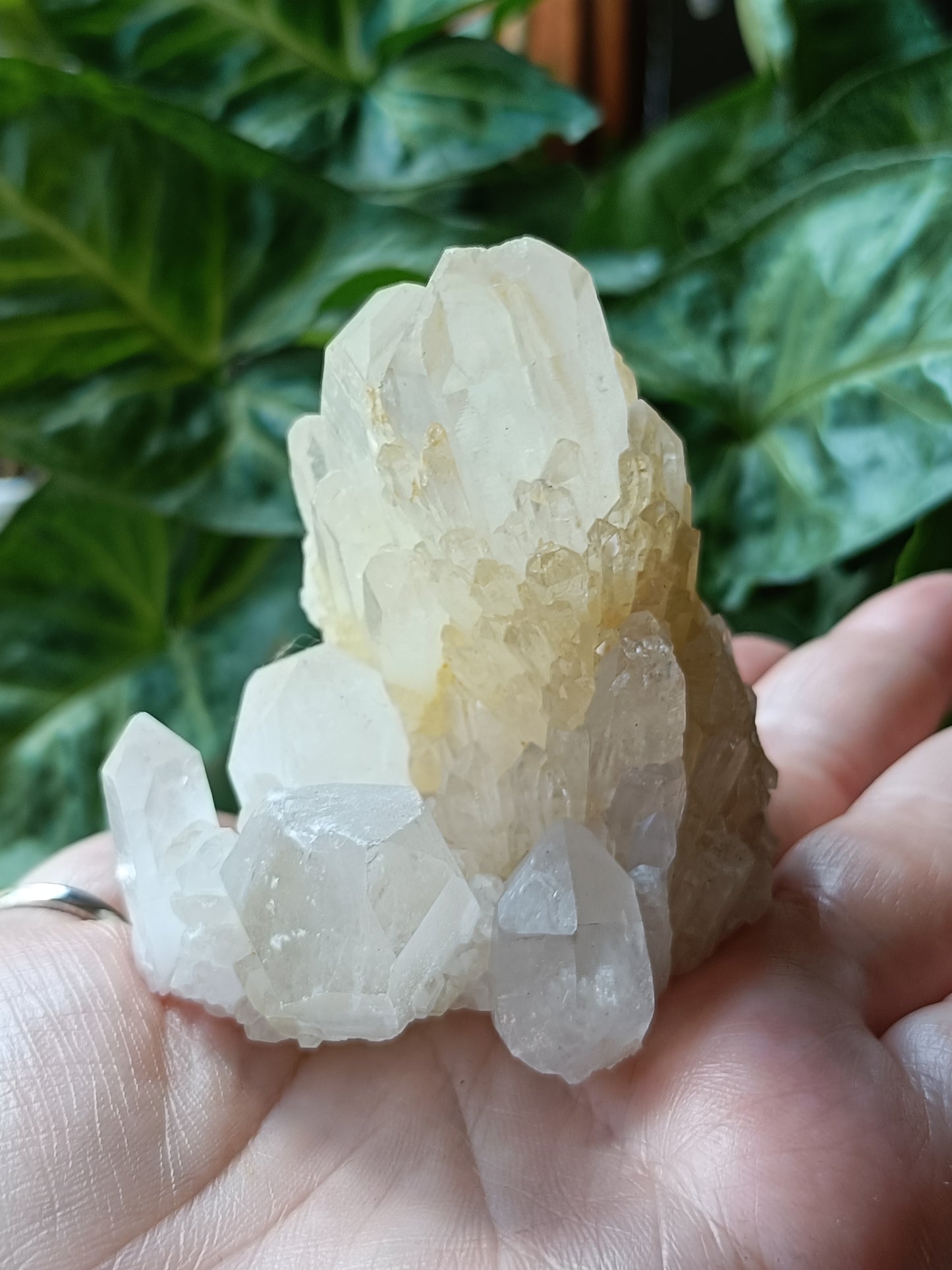 'Abundance' Quartz Raw Specimen - 196g