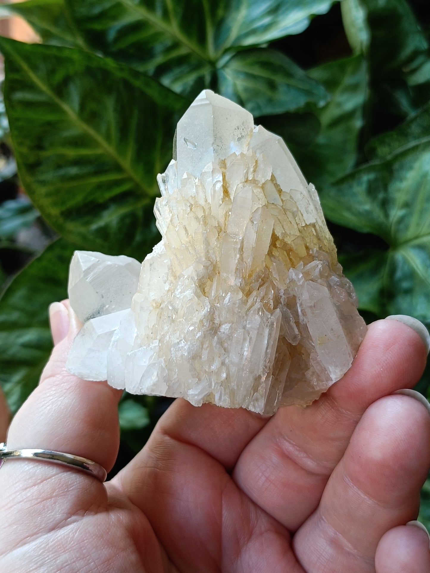 'Abundance' Quartz Raw Specimen - 196g