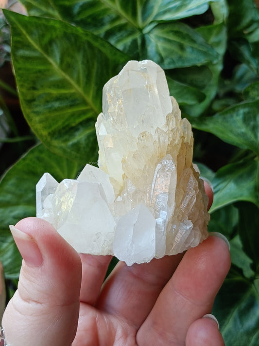 'Abundance' Quartz Raw Specimen - 196g