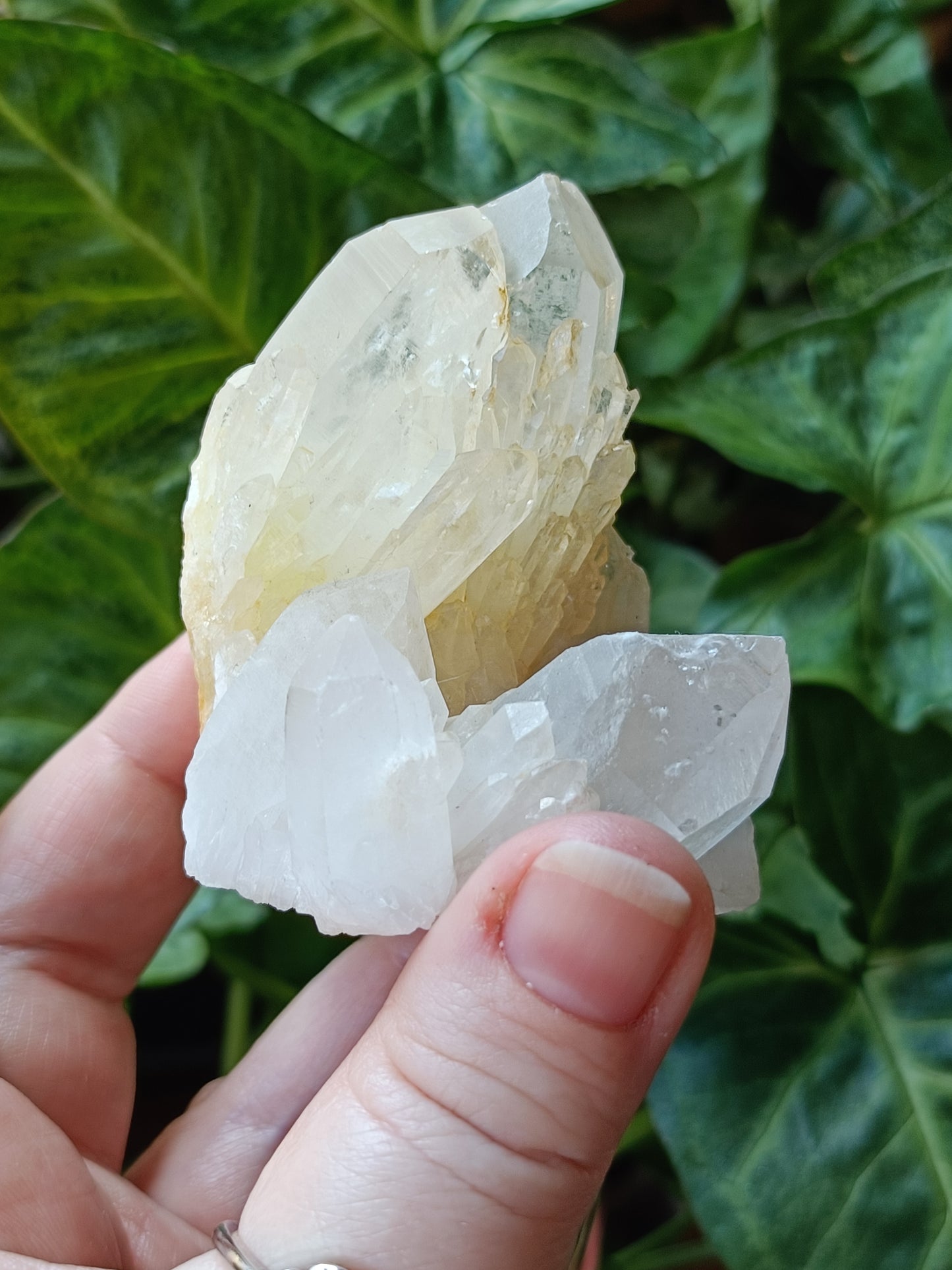 'Abundance' Quartz Raw Specimen - 196g