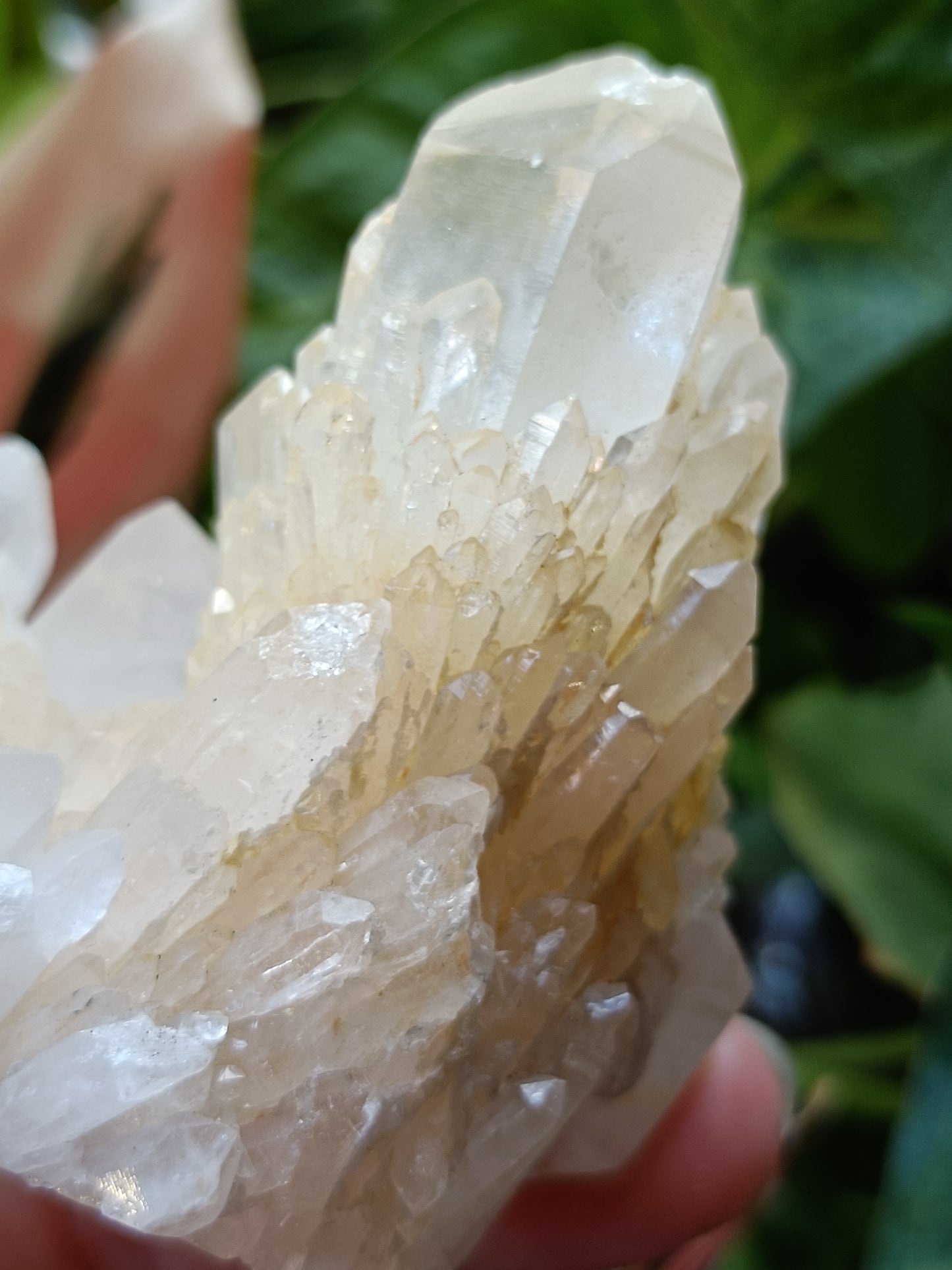 'Abundance' Quartz Raw Specimen - 196g