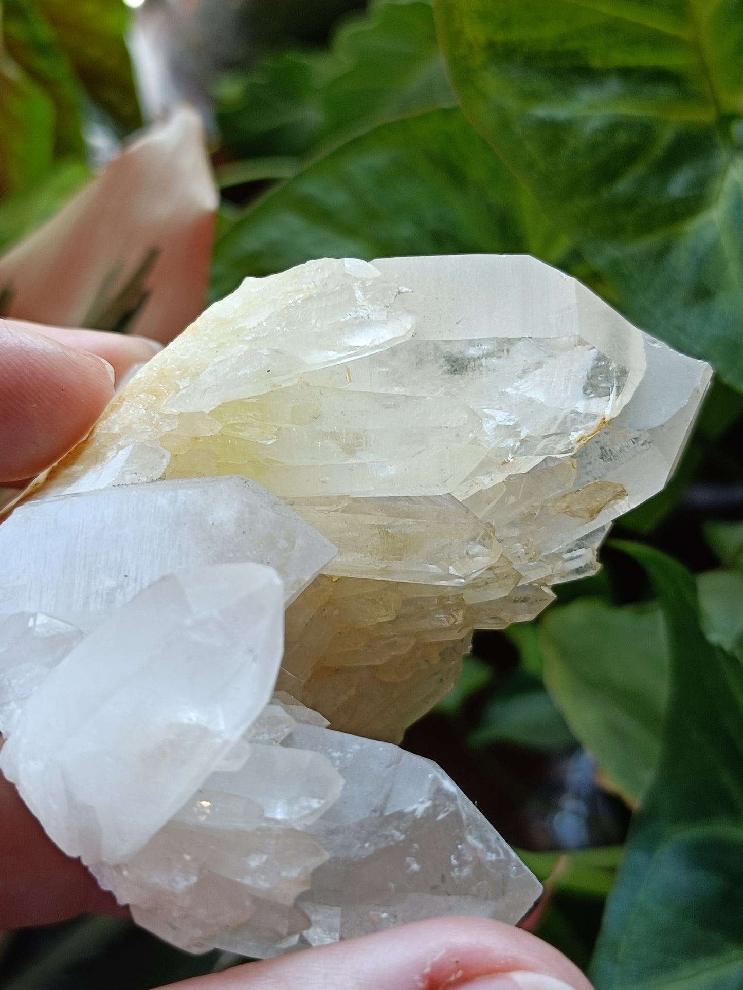 'Abundance' Quartz Raw Specimen - 196g